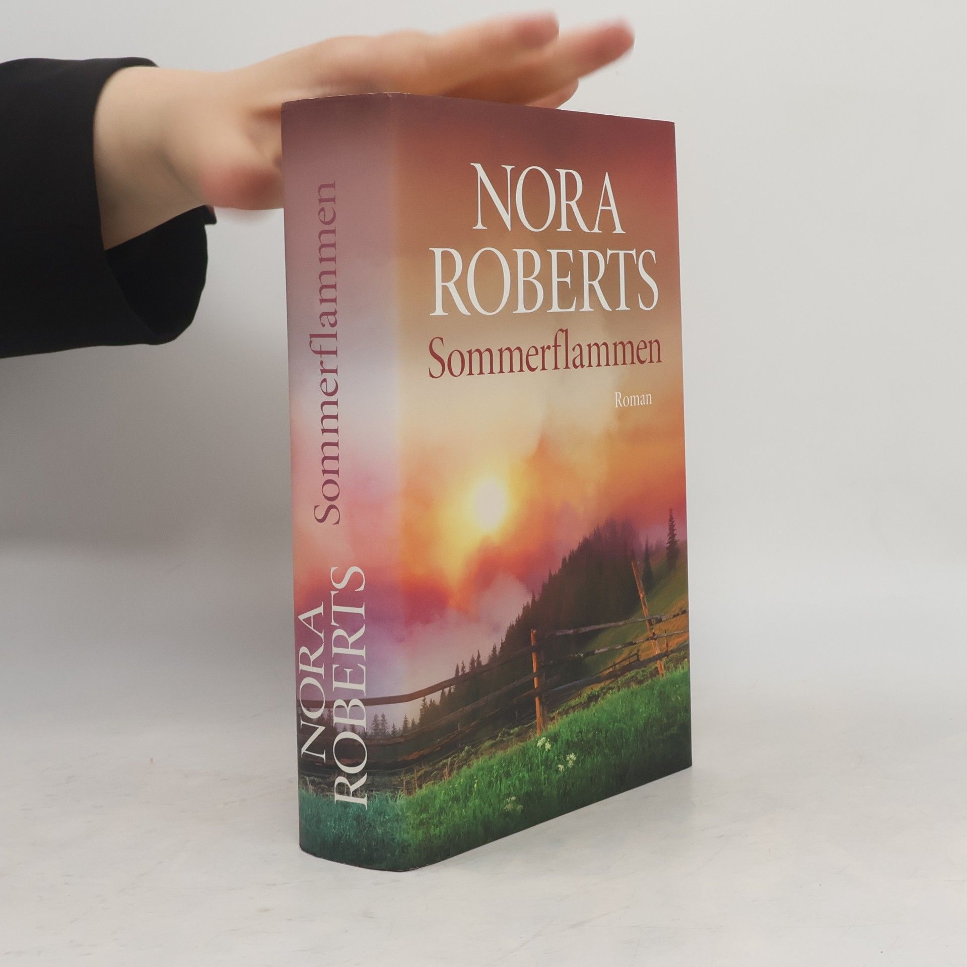Nora Roberts Sommerflammen