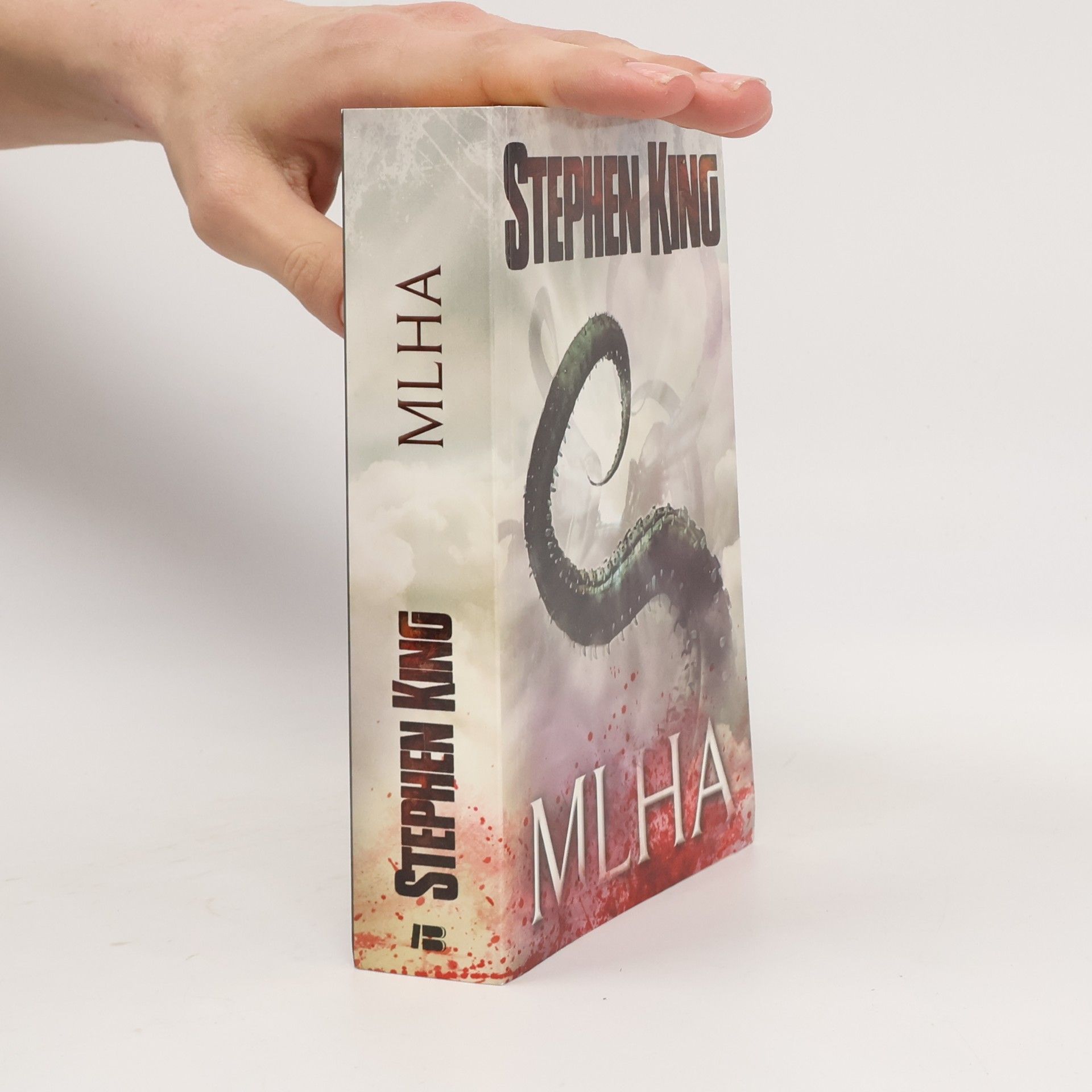Stephen King Mlha