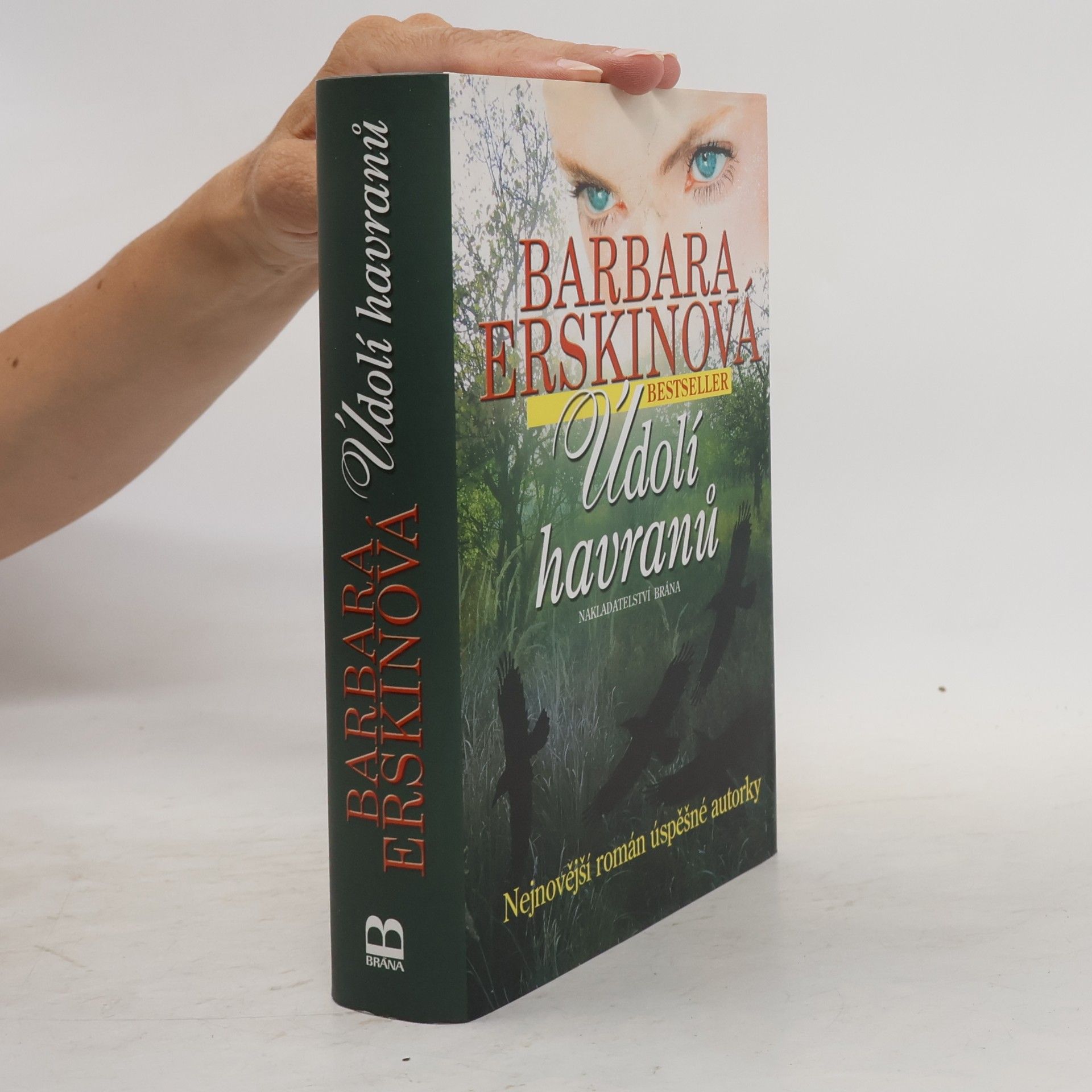 Barbara Erskinová Údolí havranů