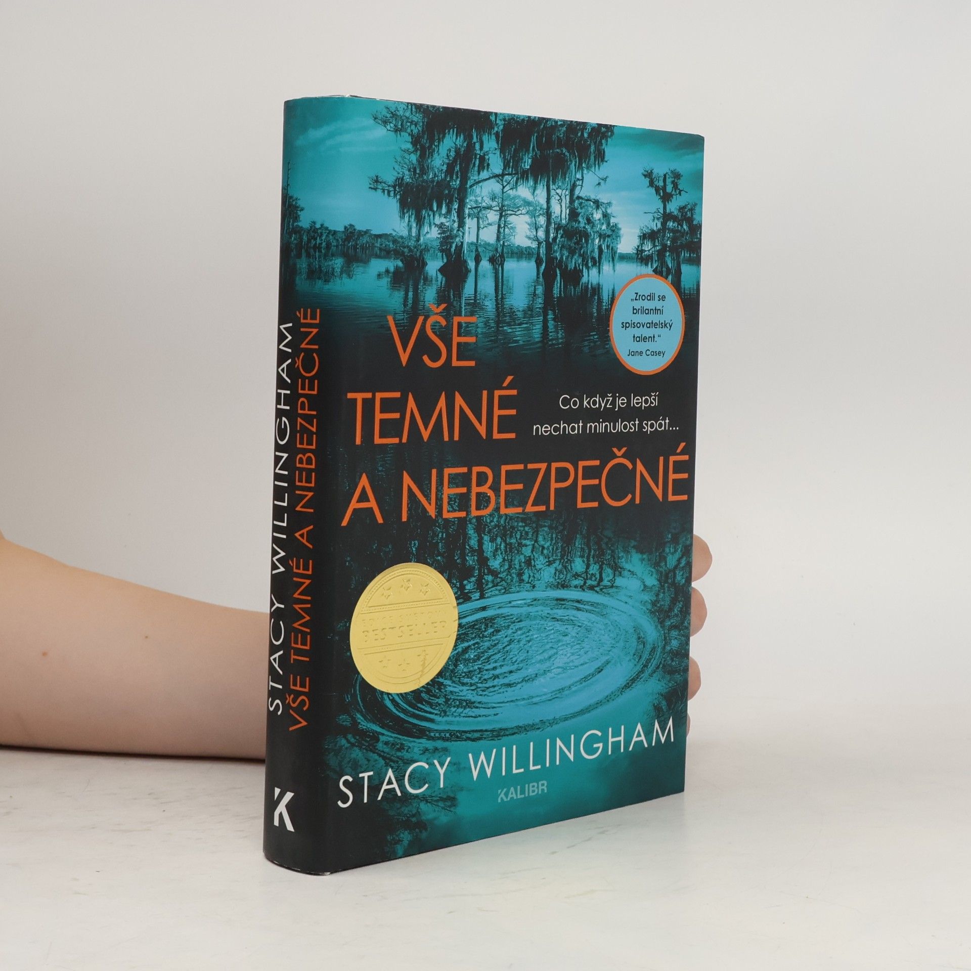 Stacy Willingham Vše temné a nebezpečné