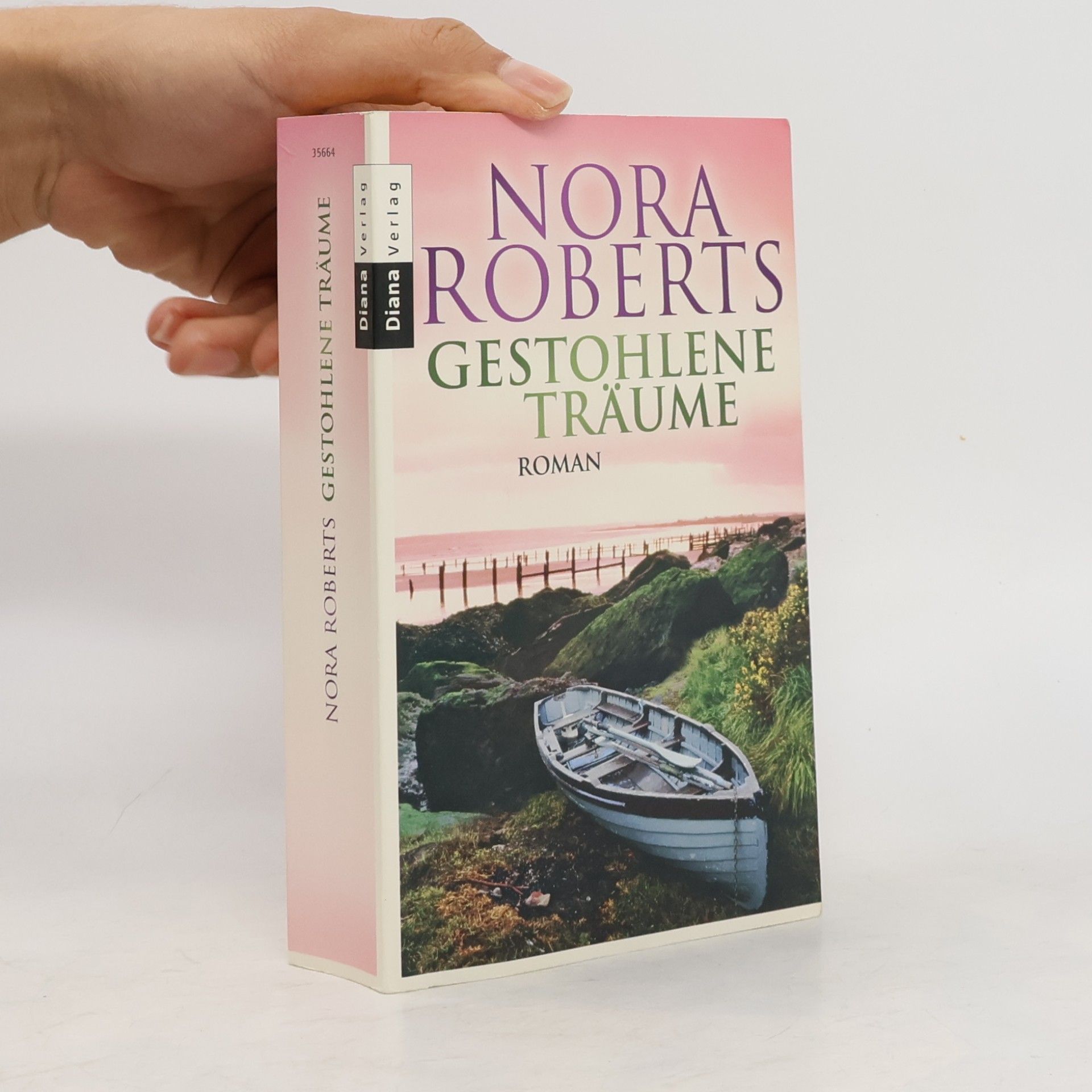 Nora Roberts Gestohlene Träume