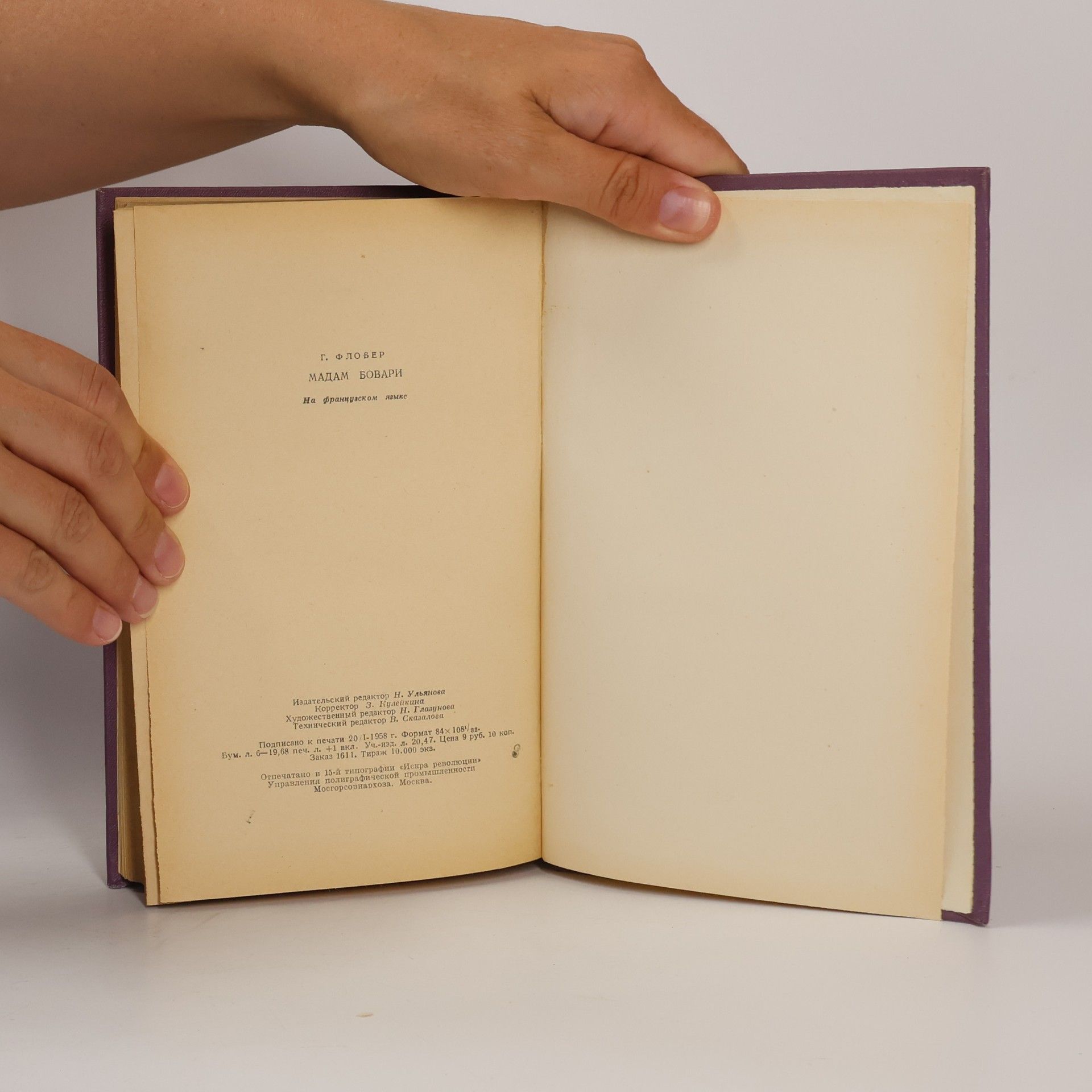 Gustave Flaubert Madame Bovary