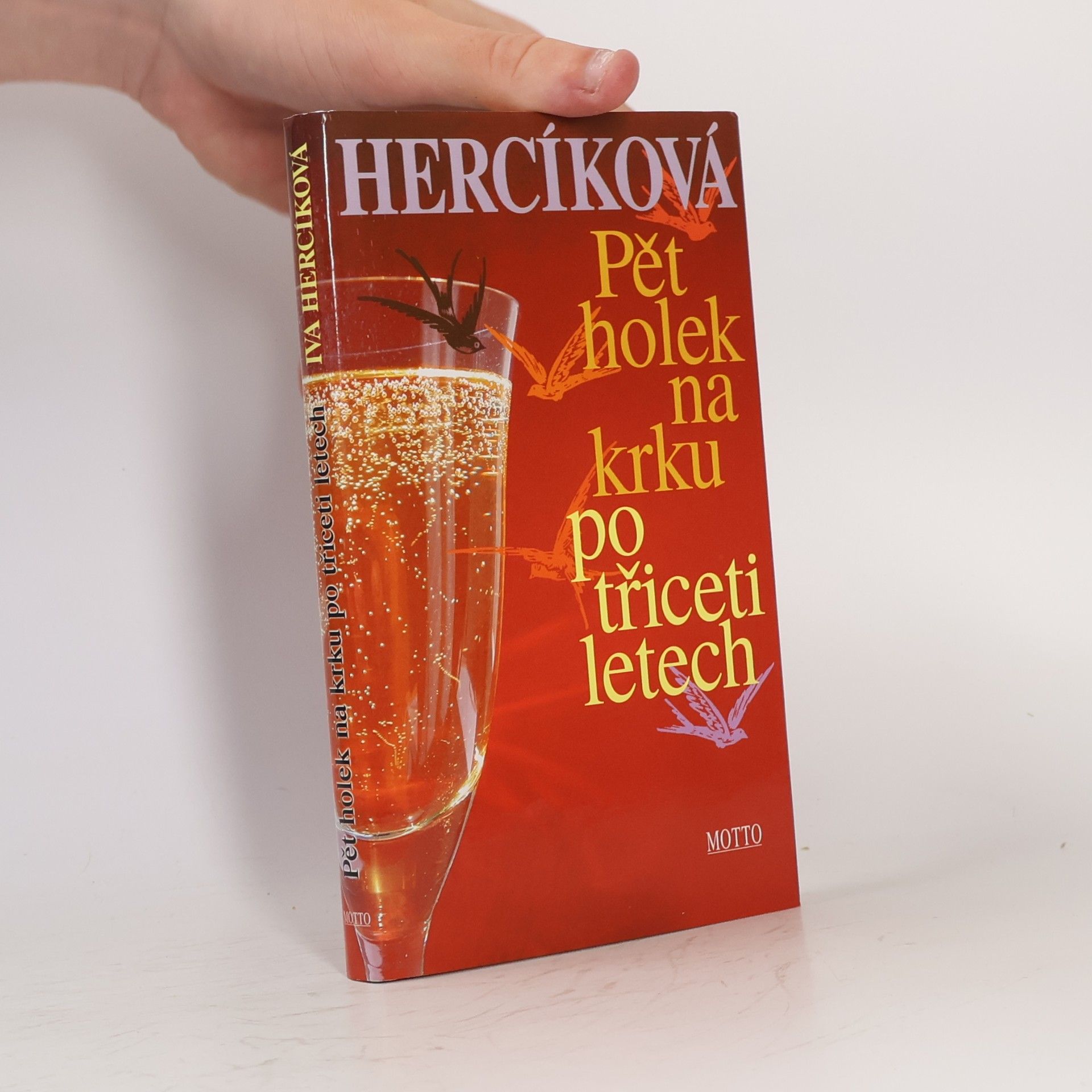 Iva Hercíková Pět holek na krku po třiceti letech