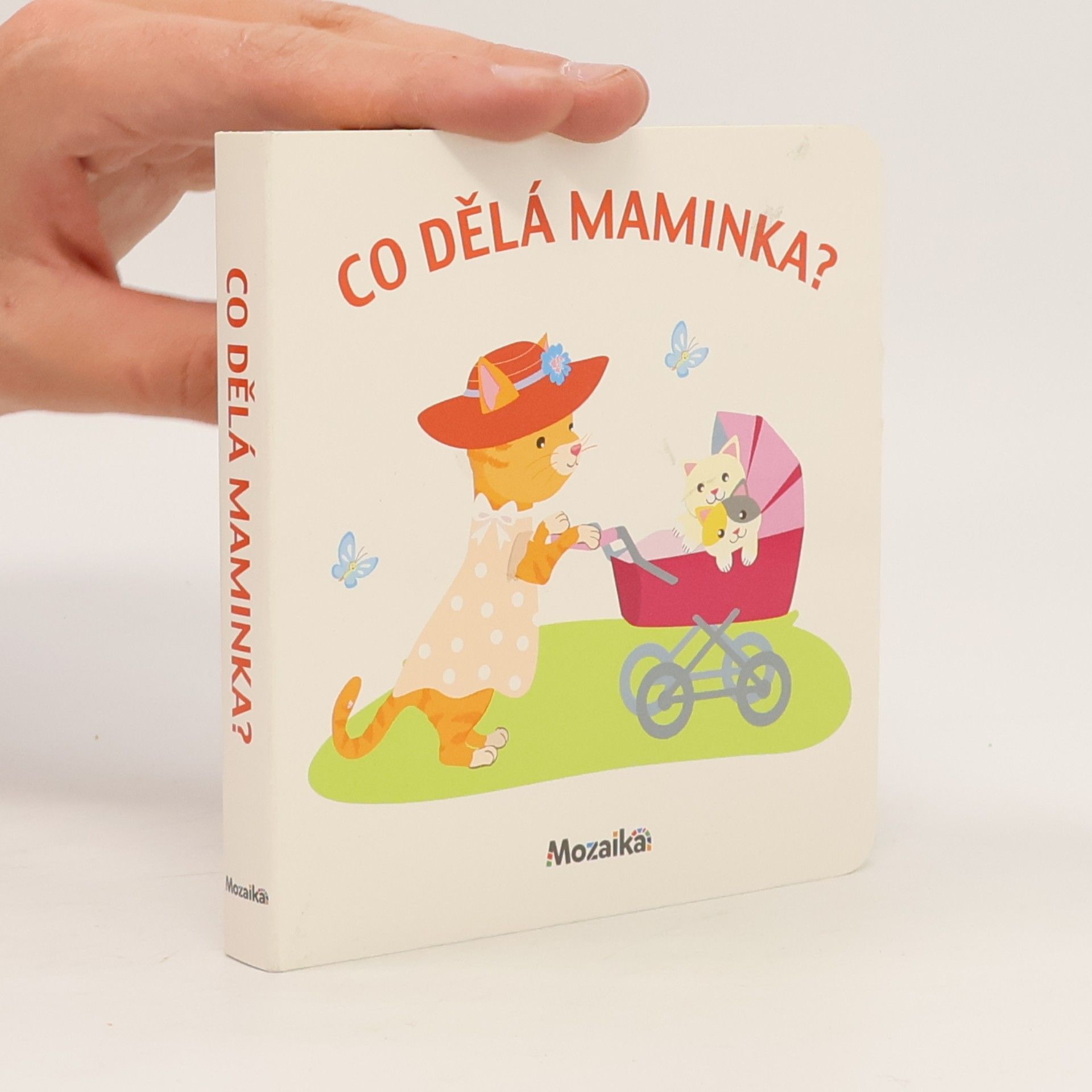 Collectif d'auteurs Co dělá maminka?