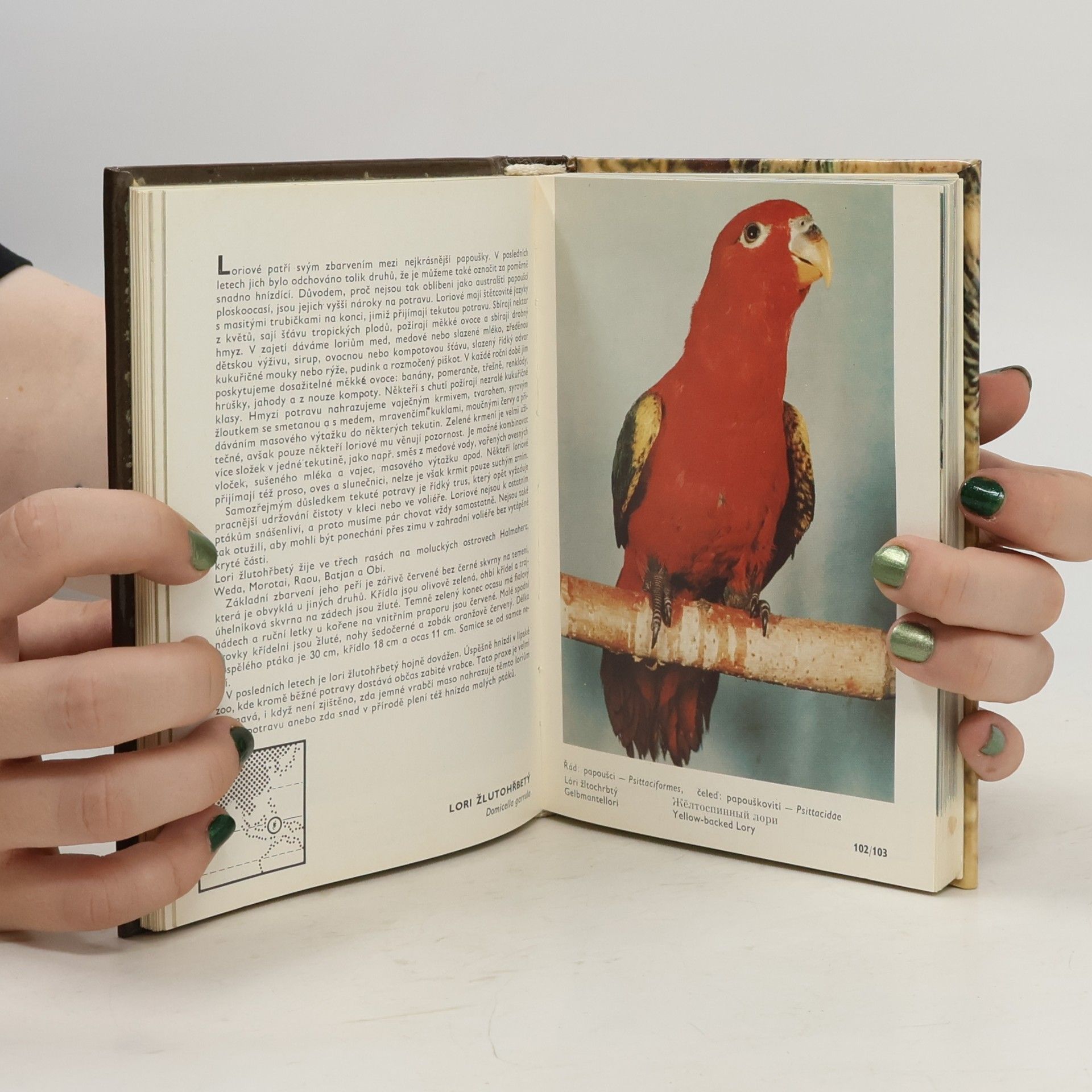 Zdeněk Veger Kapesní atlas cizokrajných ptáků