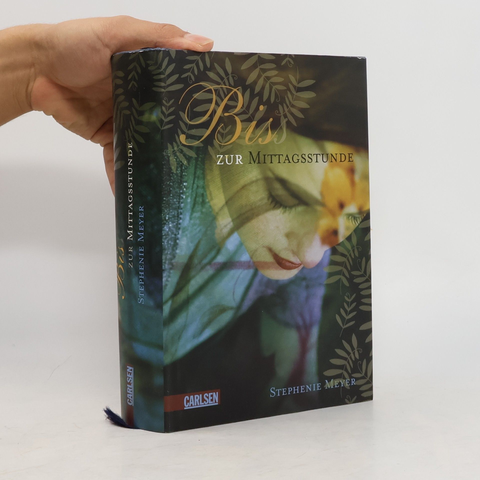 Stephenie Meyer Biss zur Mittagsstunde
