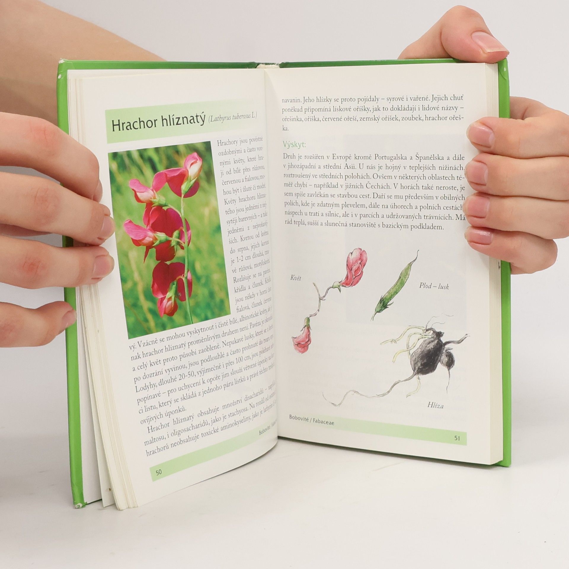 Jana Martinková Rostliny. Toulky českou přírodou. Kapesní atlas
