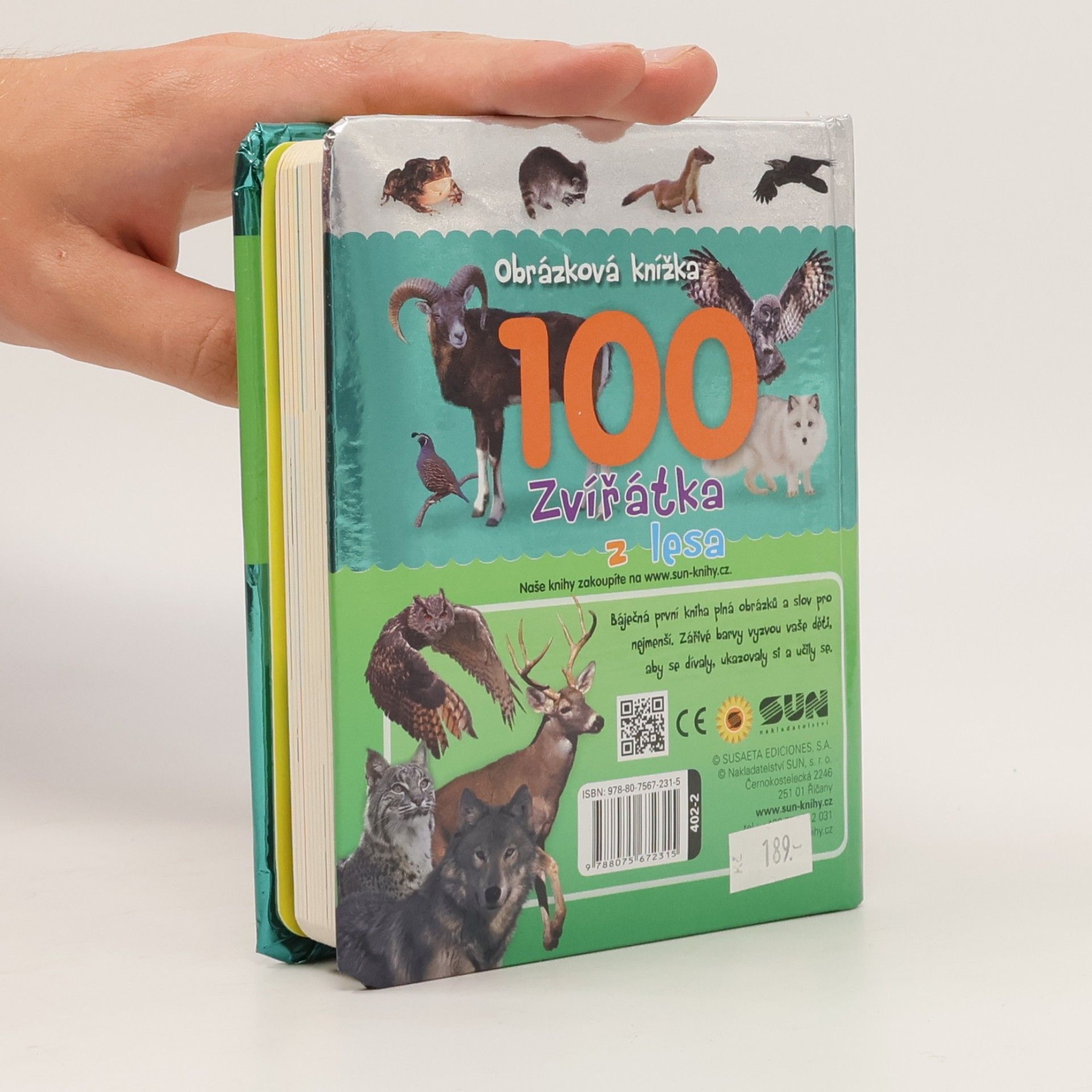Autorenkollektiv Zvířátka z lesa : obrázková knížka 100