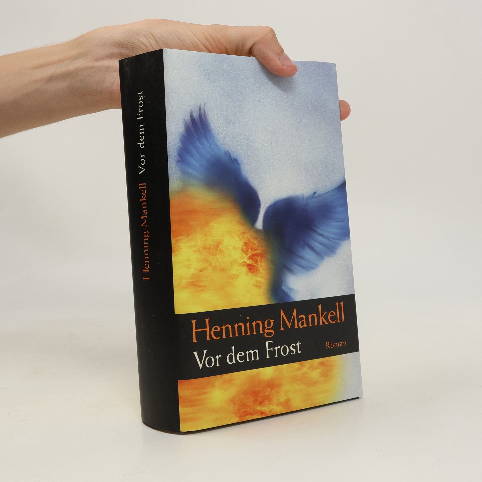 Henning Mankell Vor dem Frost