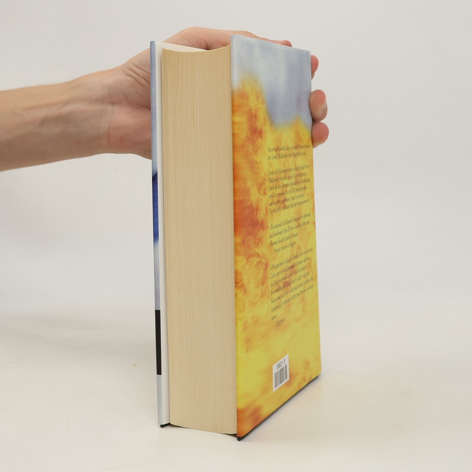 Henning Mankell Vor dem Frost