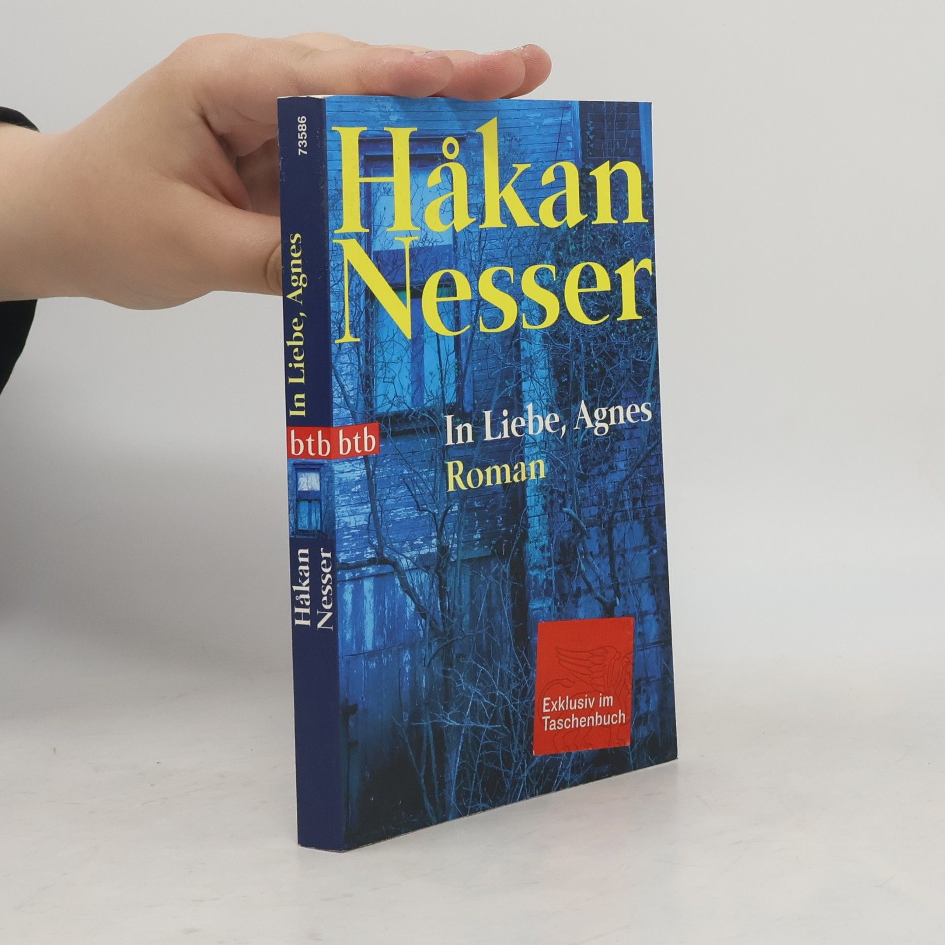 Håkan Nesser In Liebe, Agnes