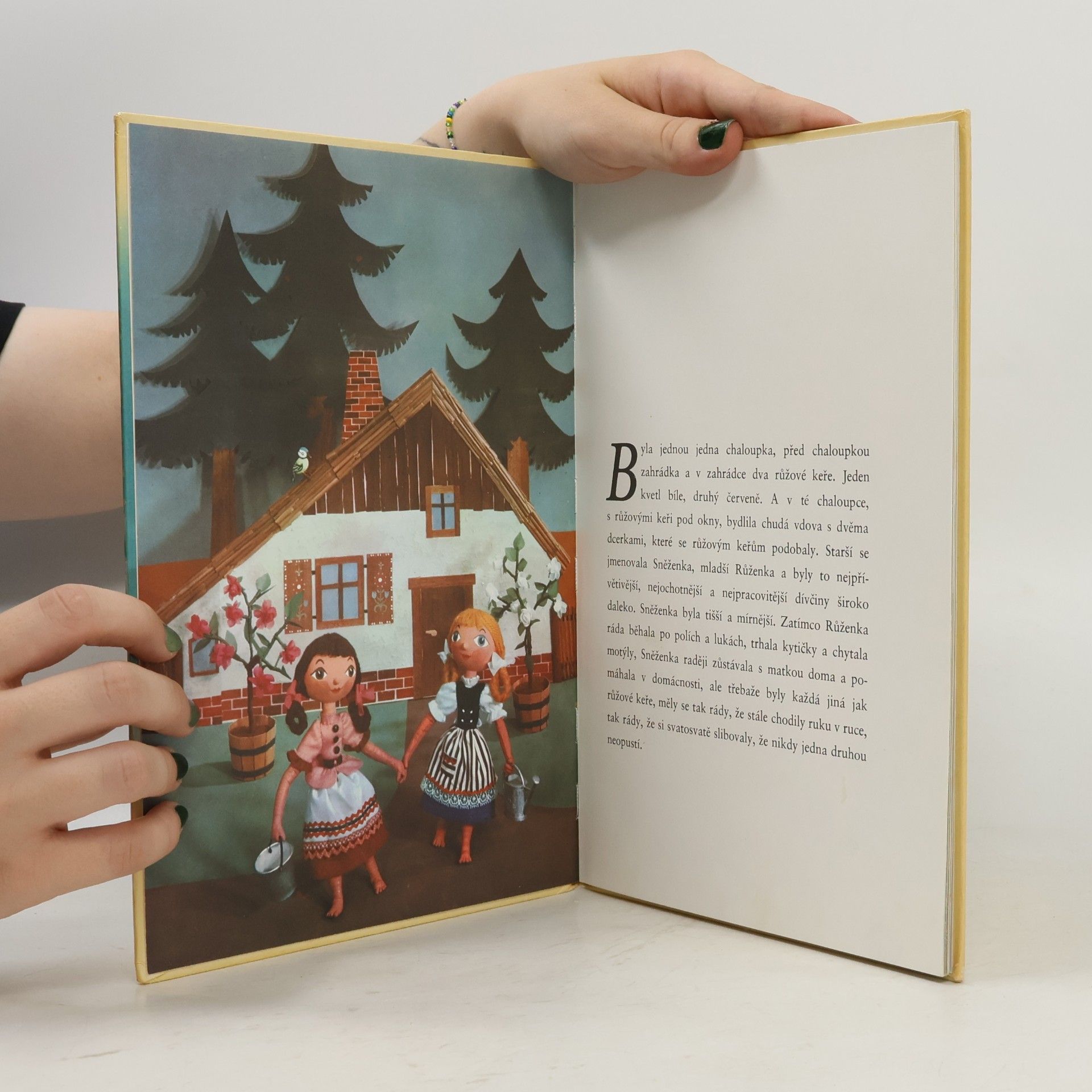 Wilhelm Grimm Sněženka a Růženka