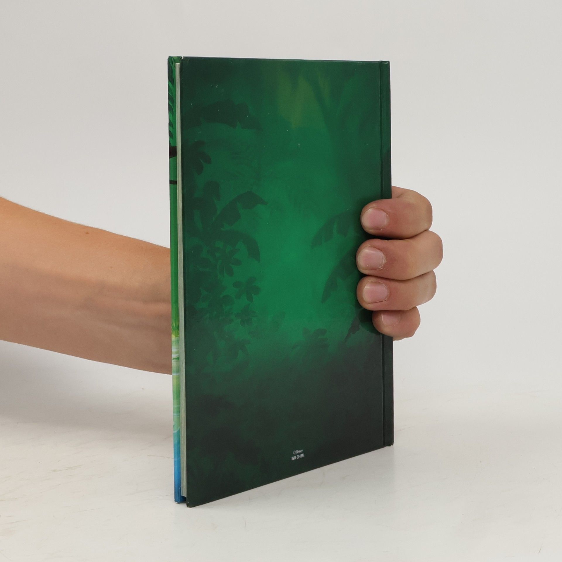 Kolektiv autorů The Jungle Book