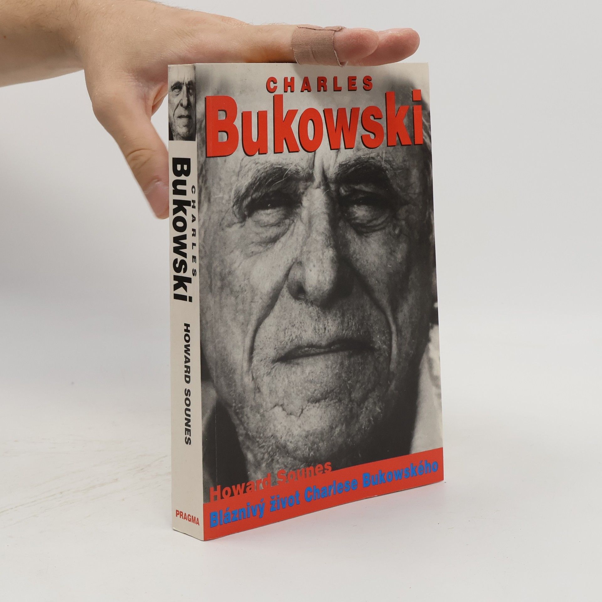 Howard Sounes Charles Bukowski : bláznivý život