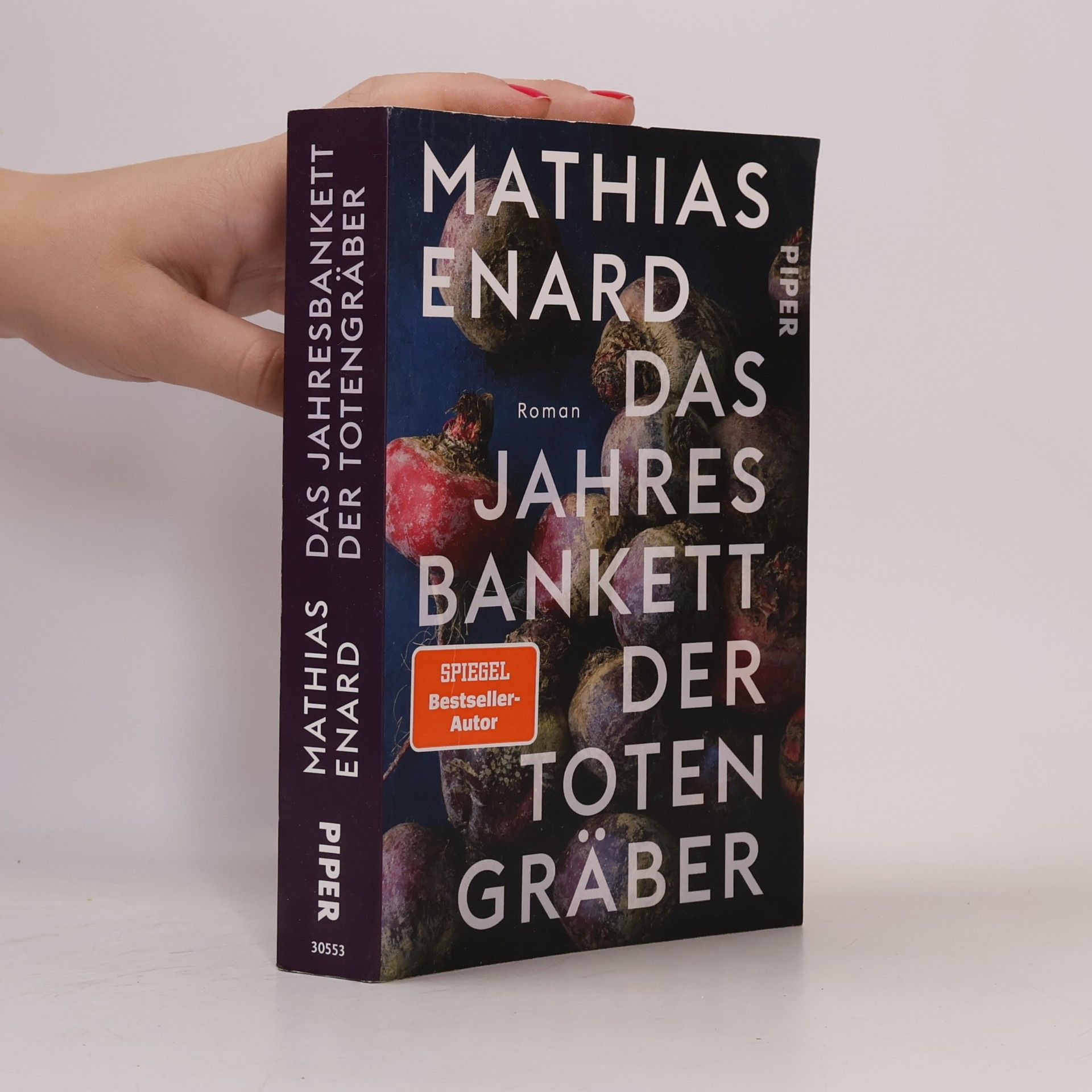 Mathias Énard Das Jahresbankett der Totengräber