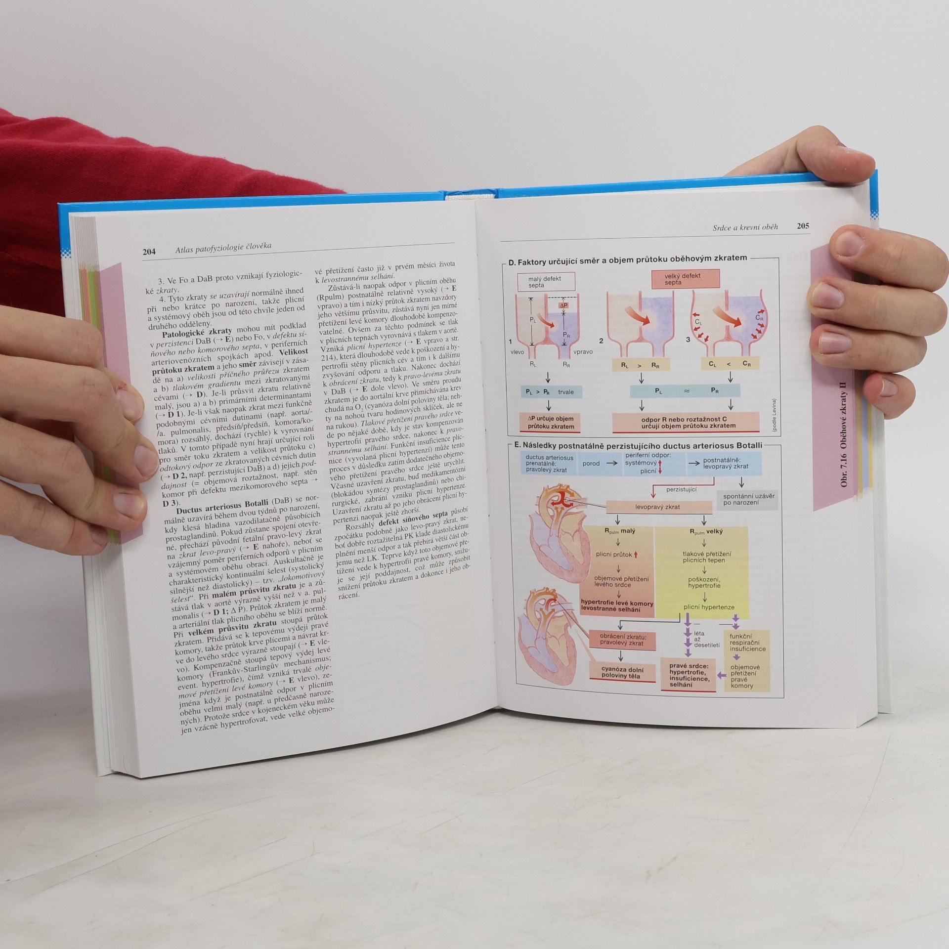 Stefan Silbernagl Atlas patofyziologie člověka