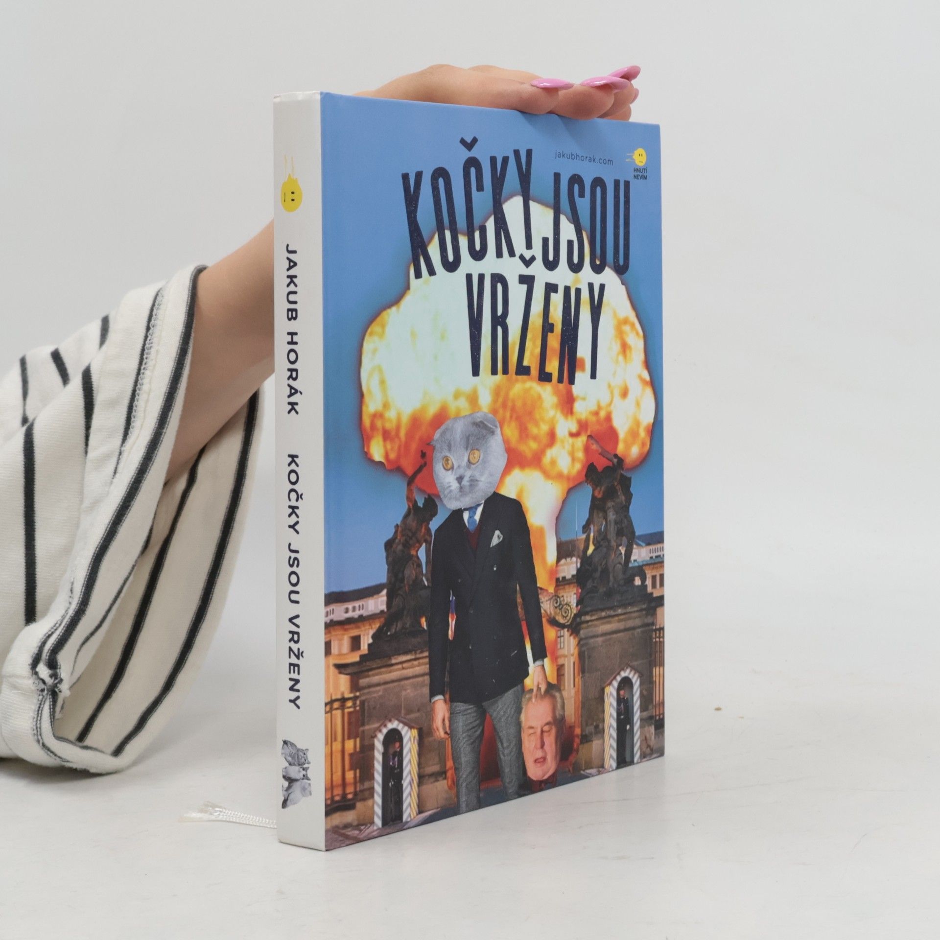 Kočky jsou vrženy: Fantastický román
