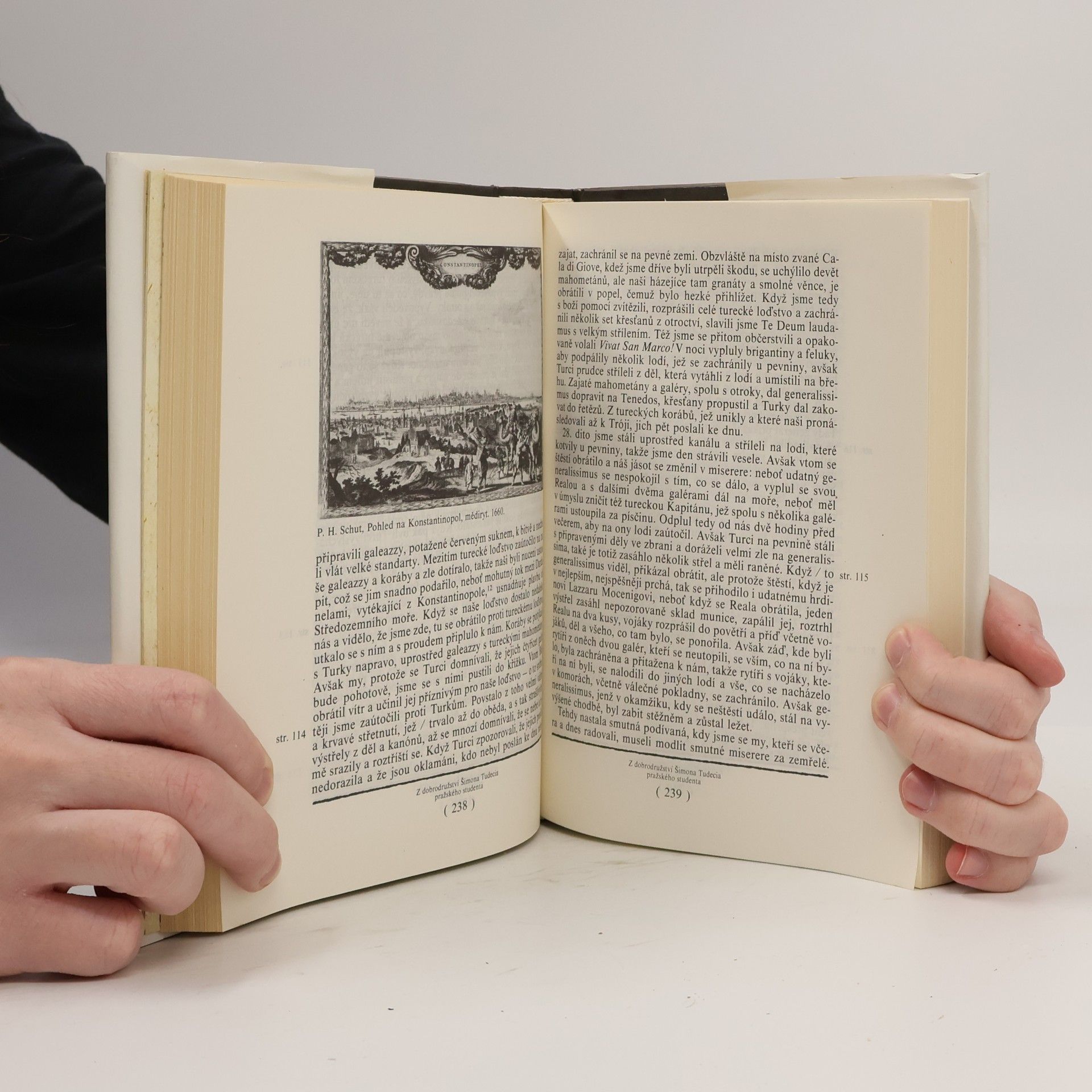 Autores varios Česká touha cestovatelská