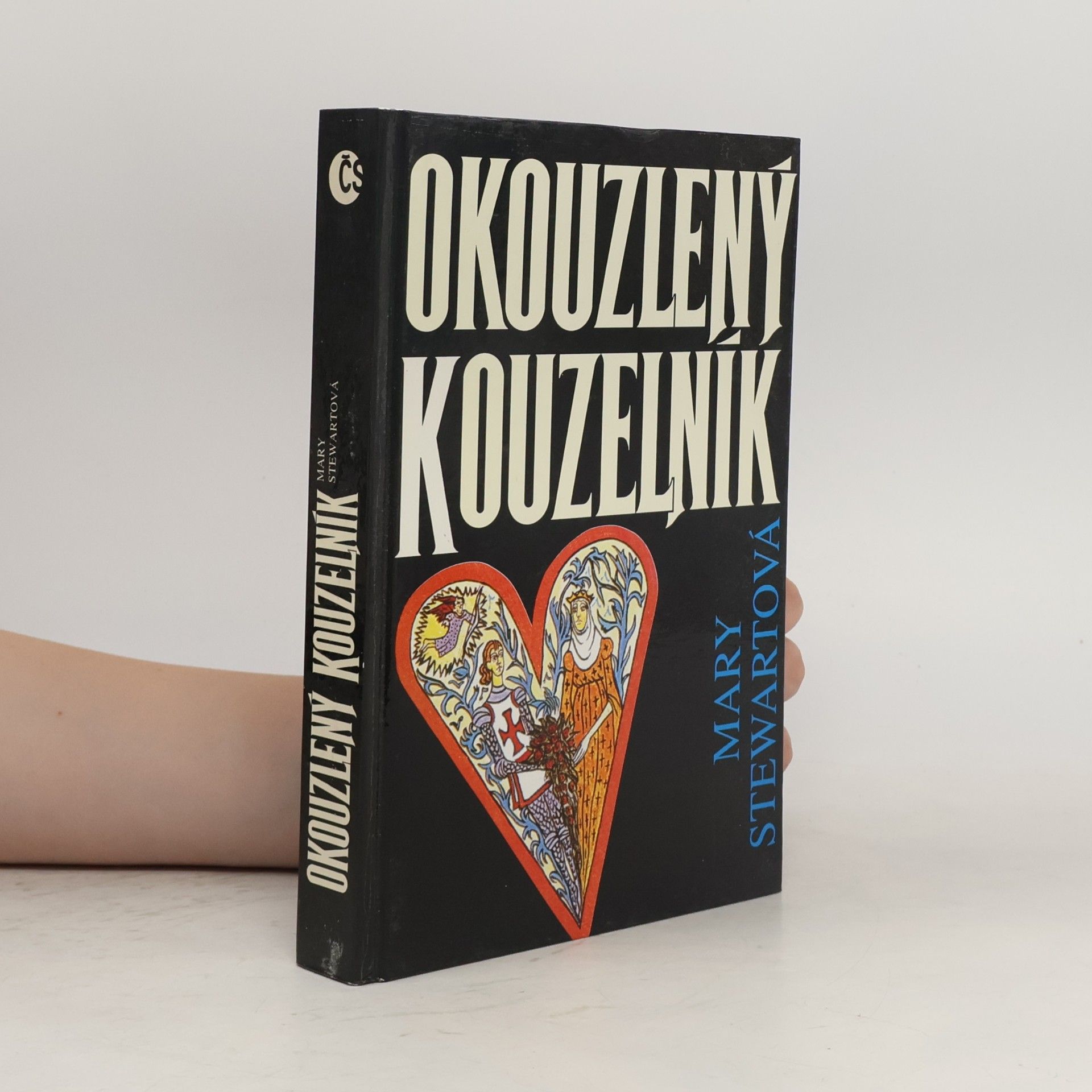 Mary Stewart Okouzlený kouzelník
