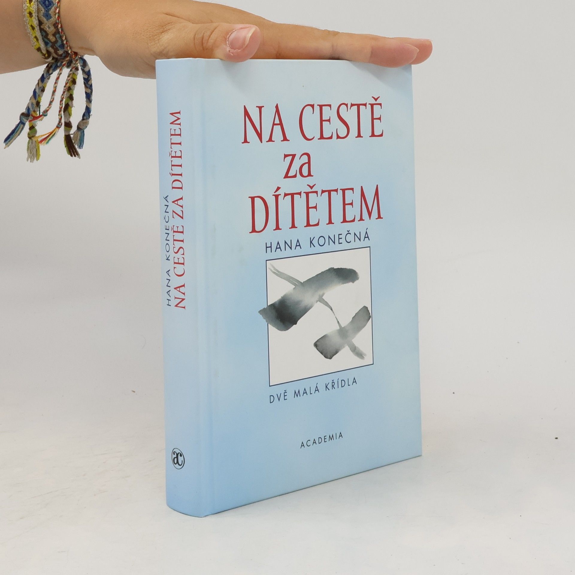 Hana Konečná Na cestě za dítětem. Dvě malá křídla