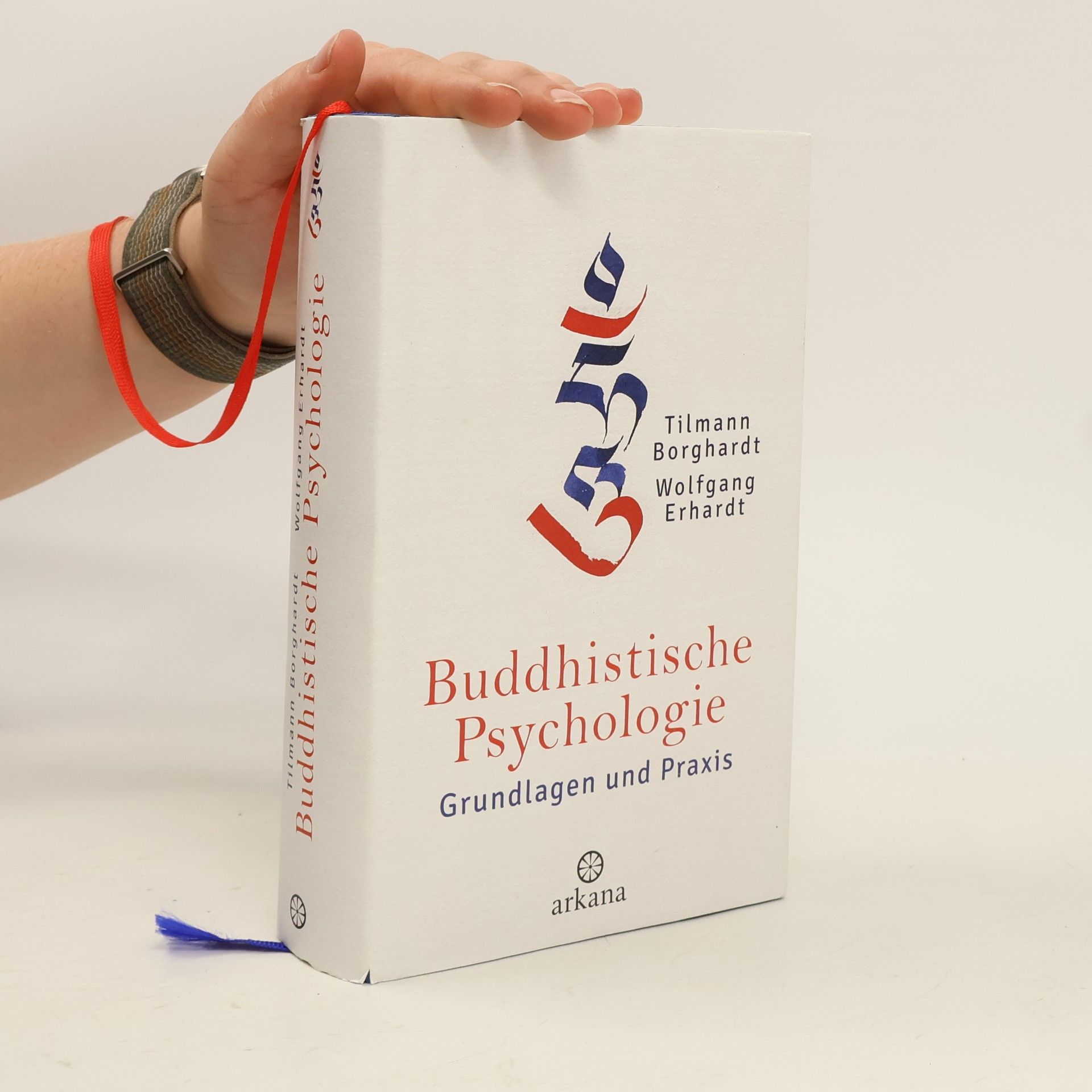 Tilmann Borghardt Buddhistische Psychologie