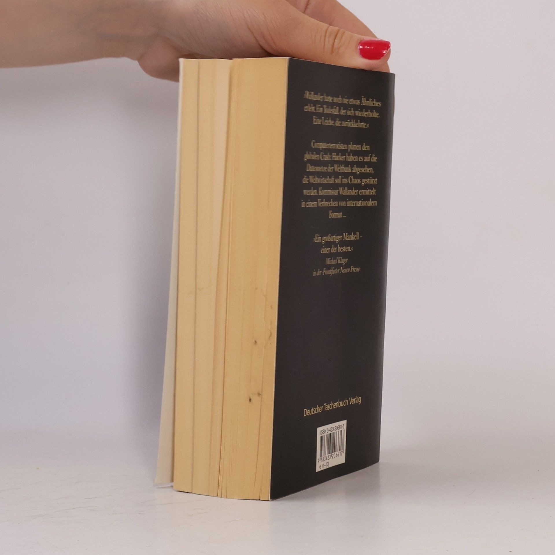 Henning Mankell Die Brandmauer