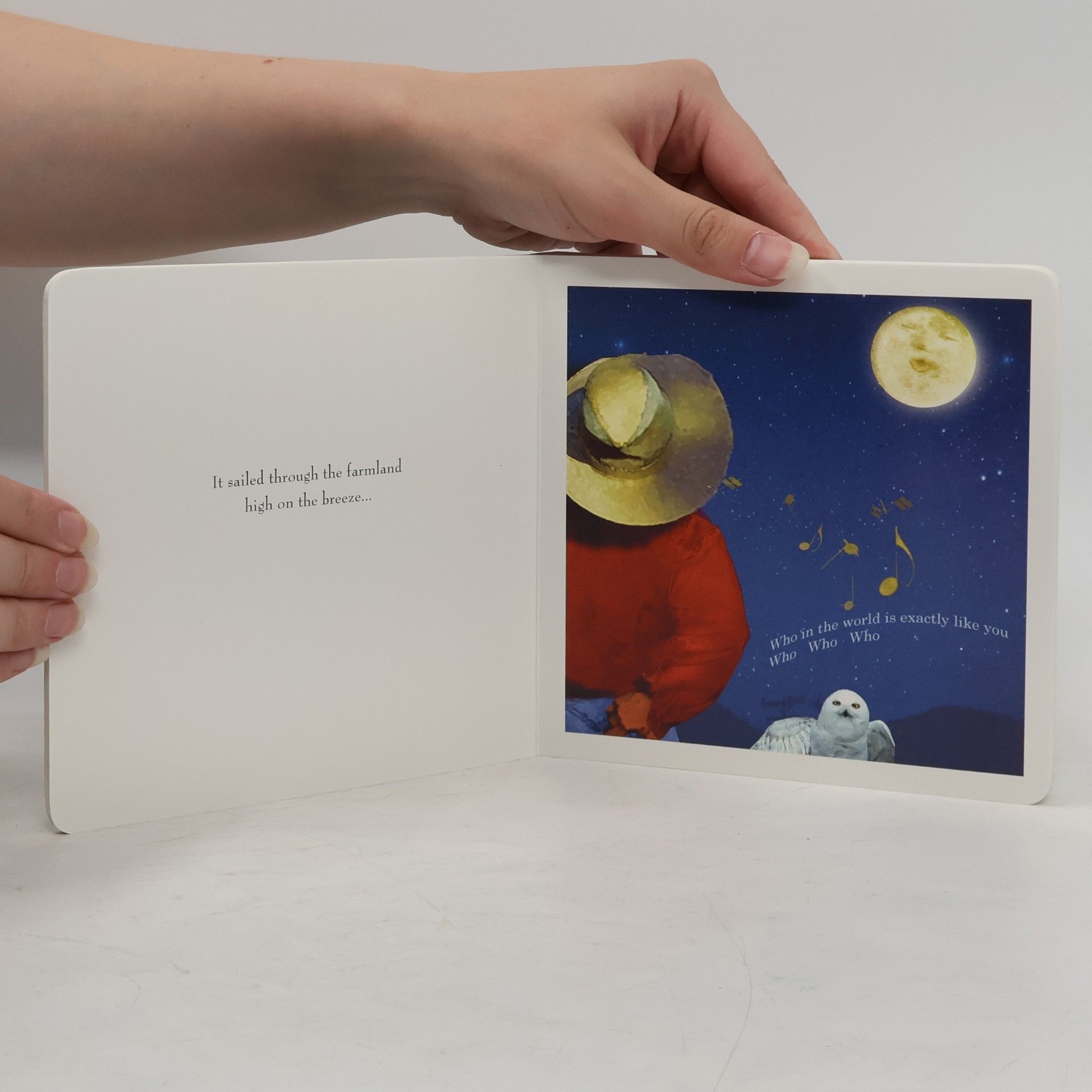 Nancy Tillman On the Night You Were Born