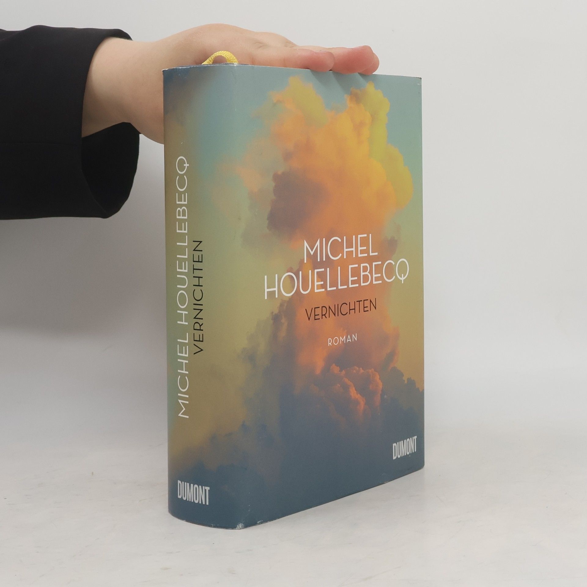 Michel Houellebecq Vernichten