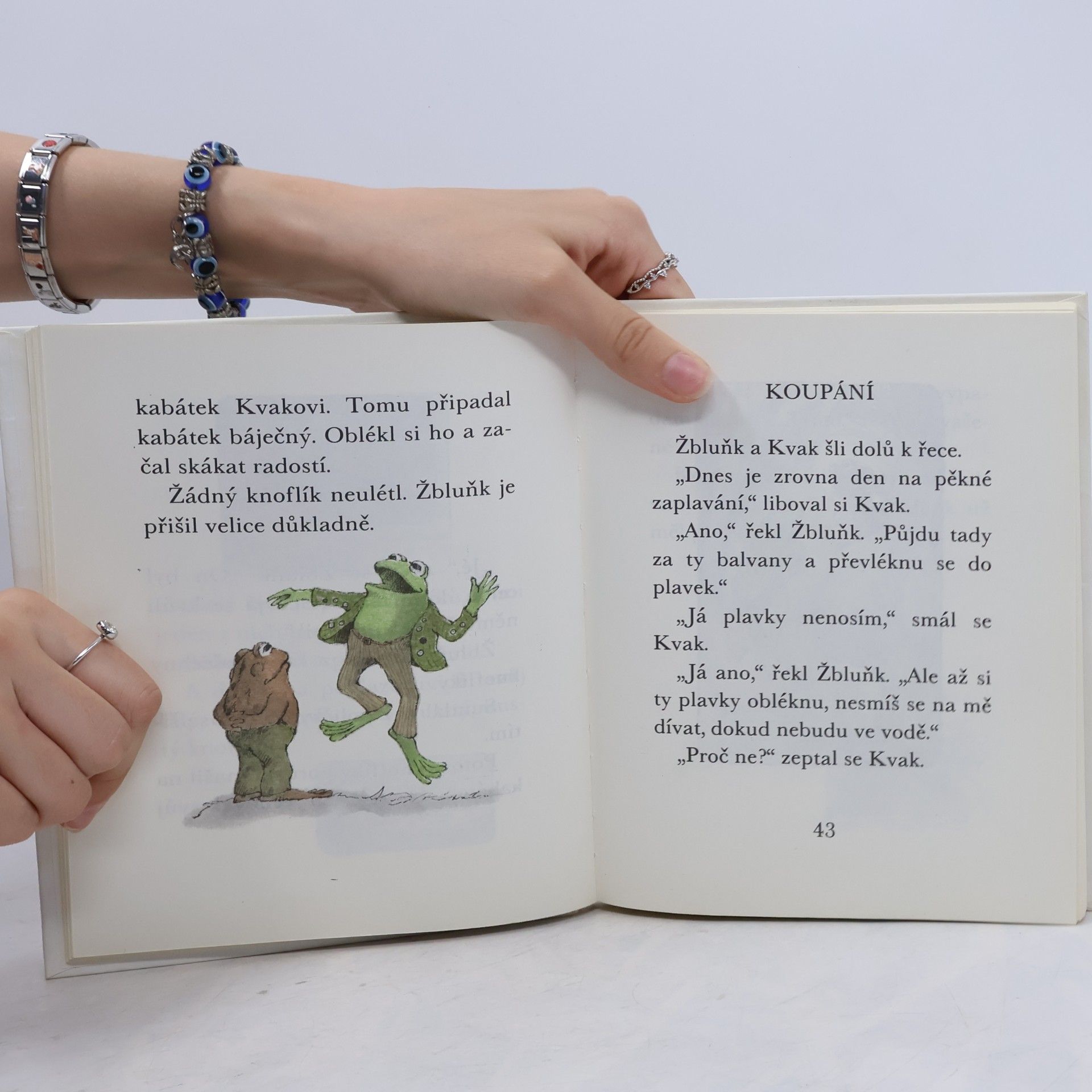 Arnold Lobel Kvak a Žbluňk jsou kamarádi