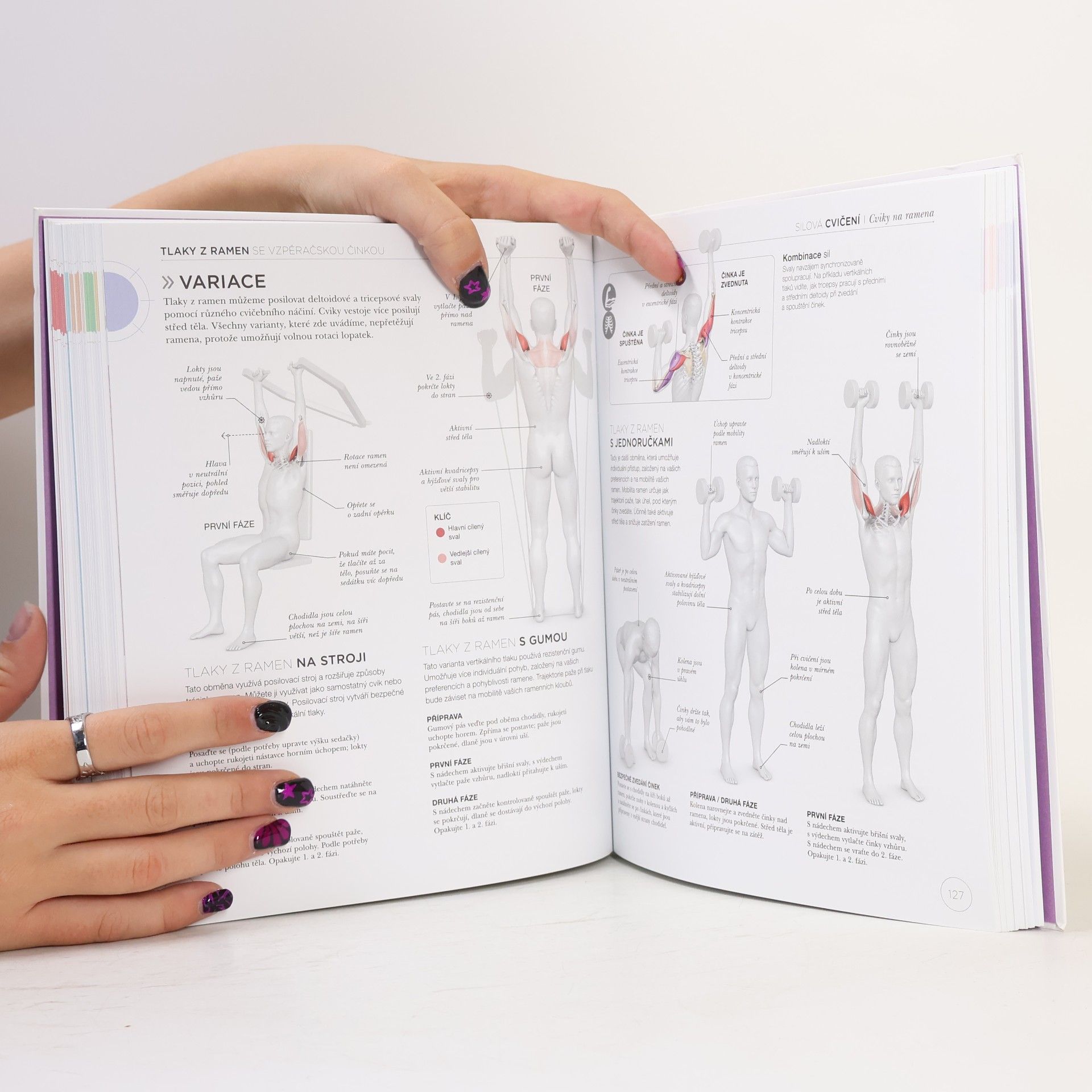 Austin Current Silový trénink z pohledu anatomie : pochopte fungování těla pro lepší a účinnější cvičení