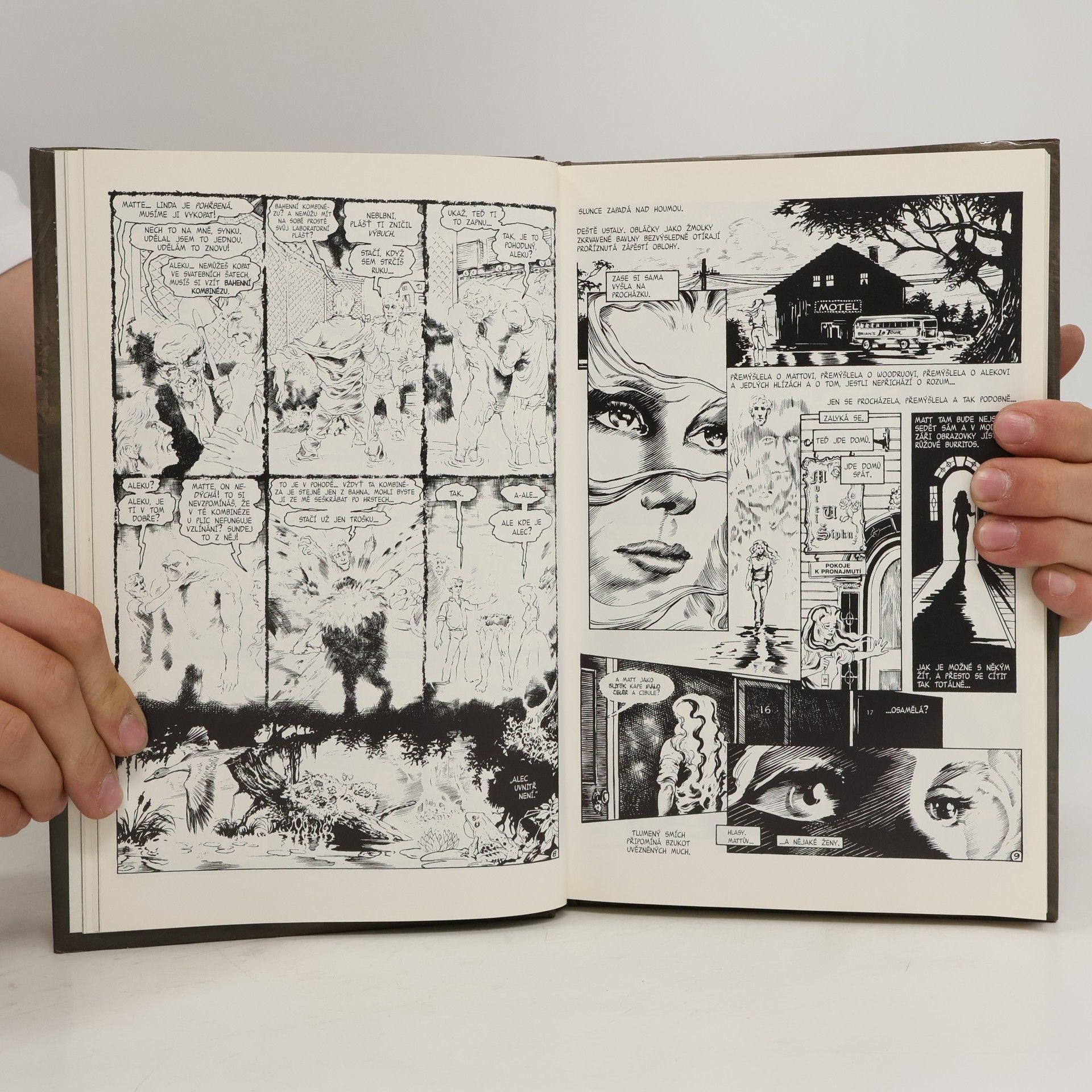 Alan Moore Swamp Thing. Bažináč