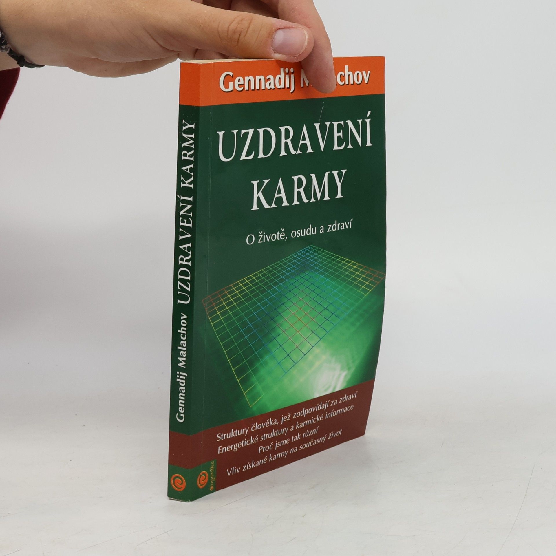 Uzdravení karmy