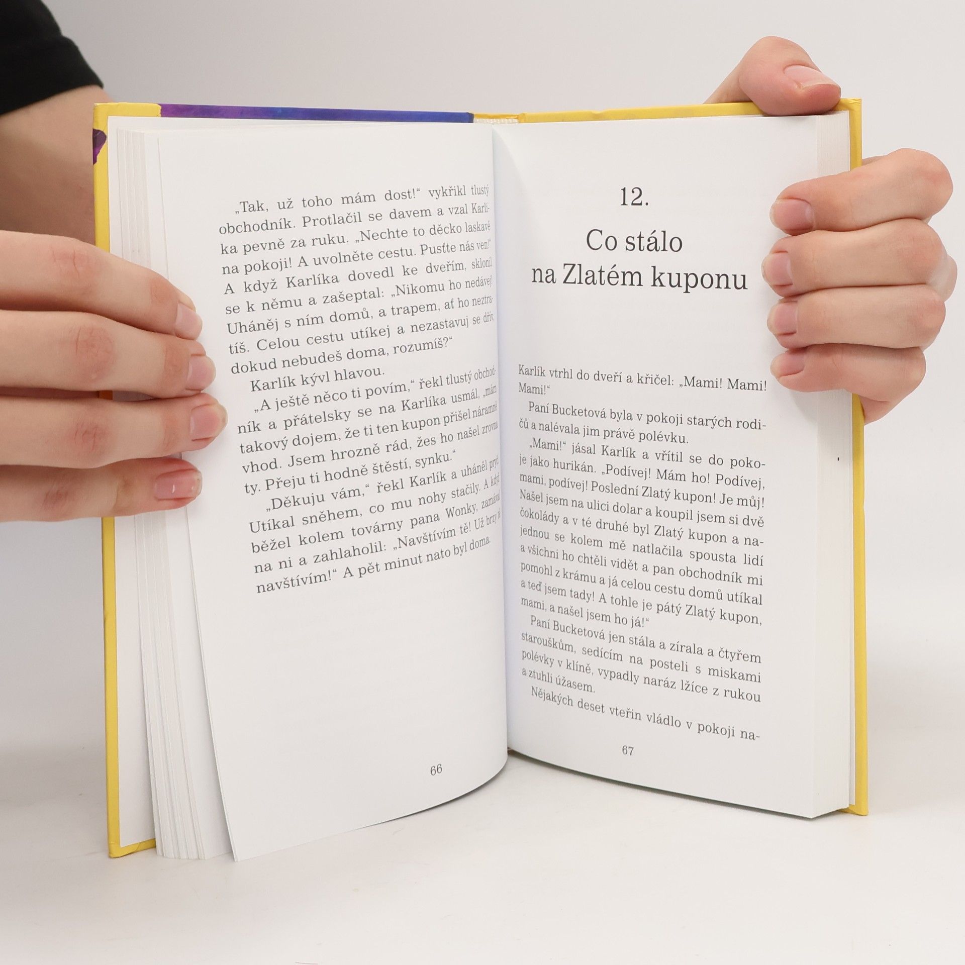 Roald Dahl Karlík a továrna na čokoládu