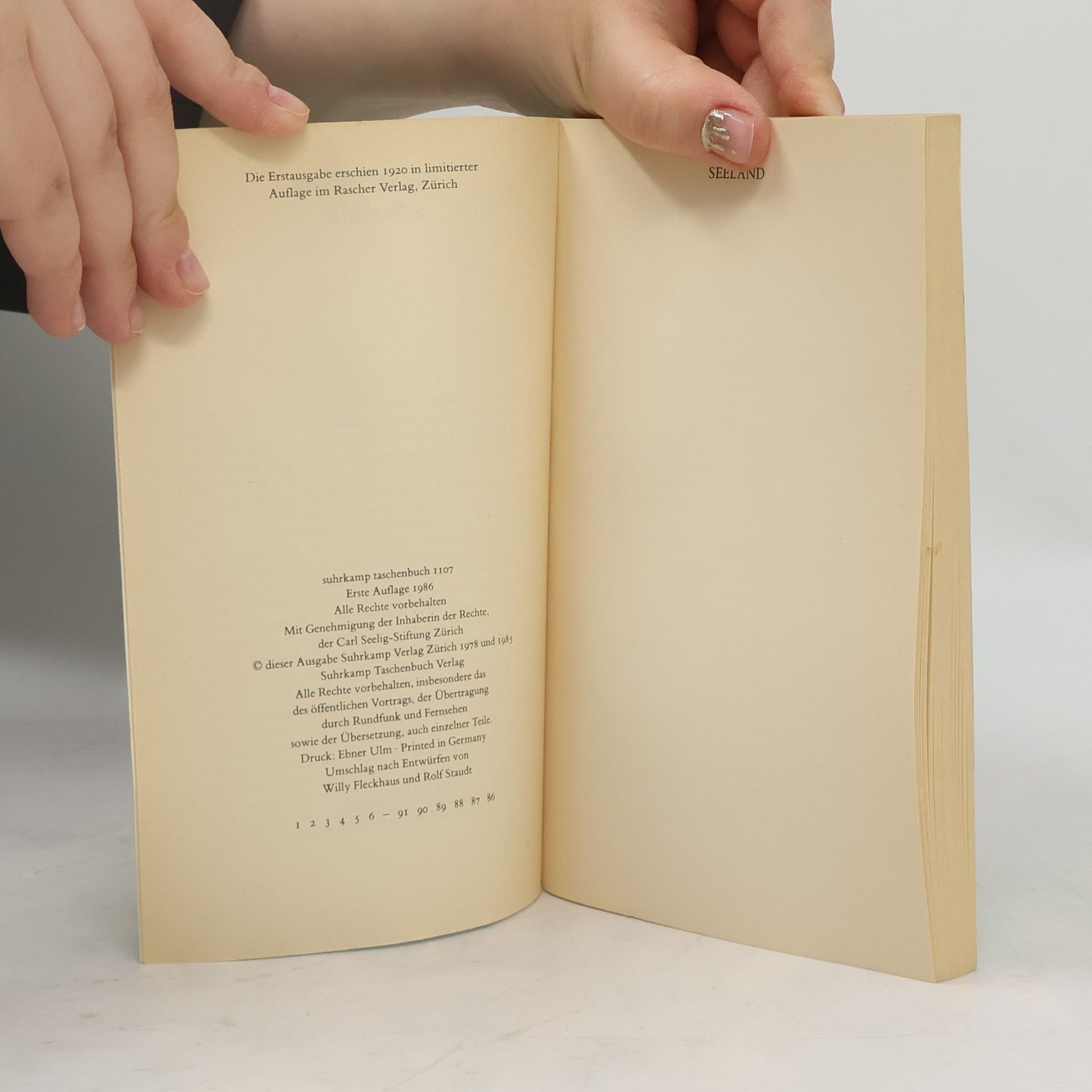 Robert Walser Seeland