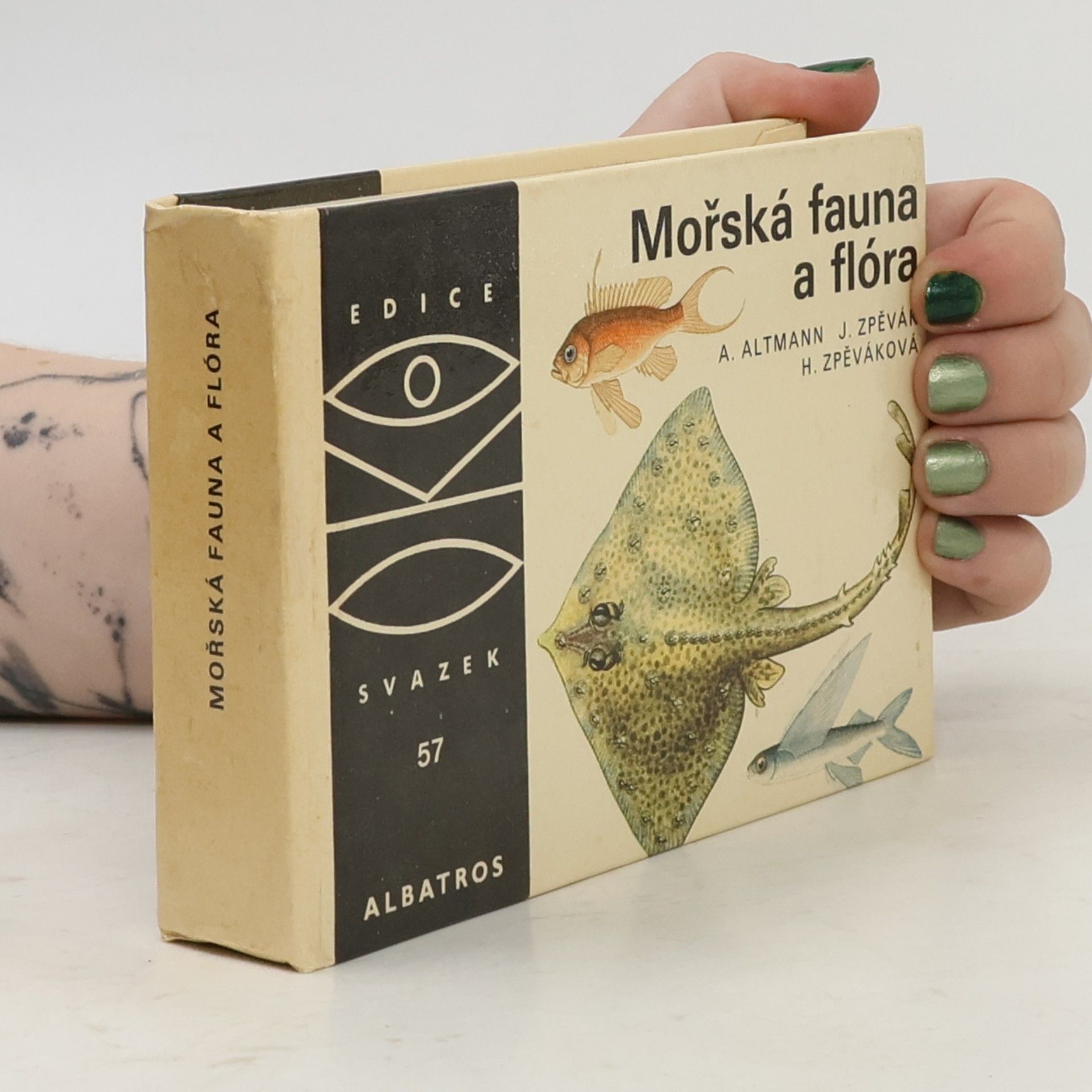 Mořská fauna a flóra