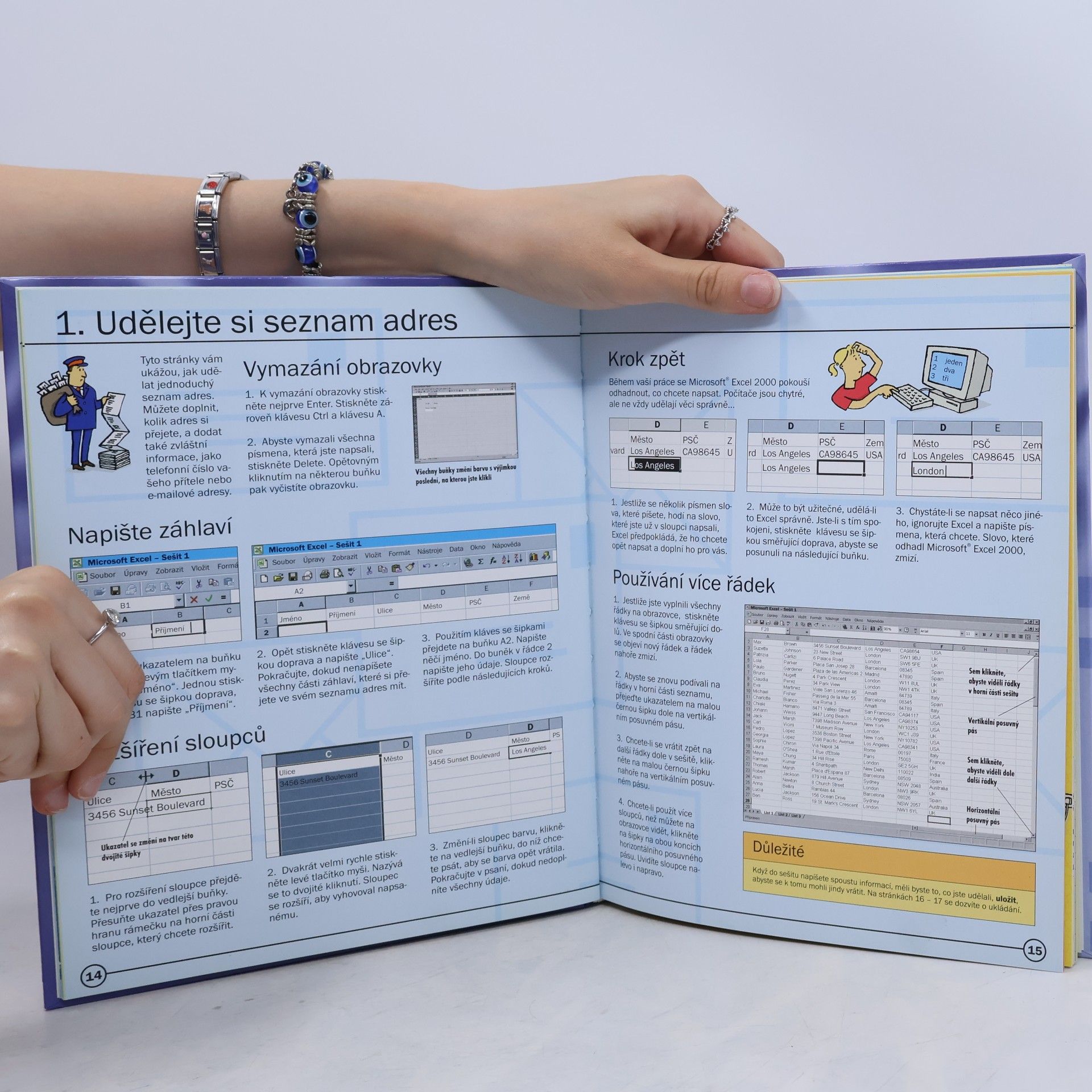 Fiona Patchet Excel 2000