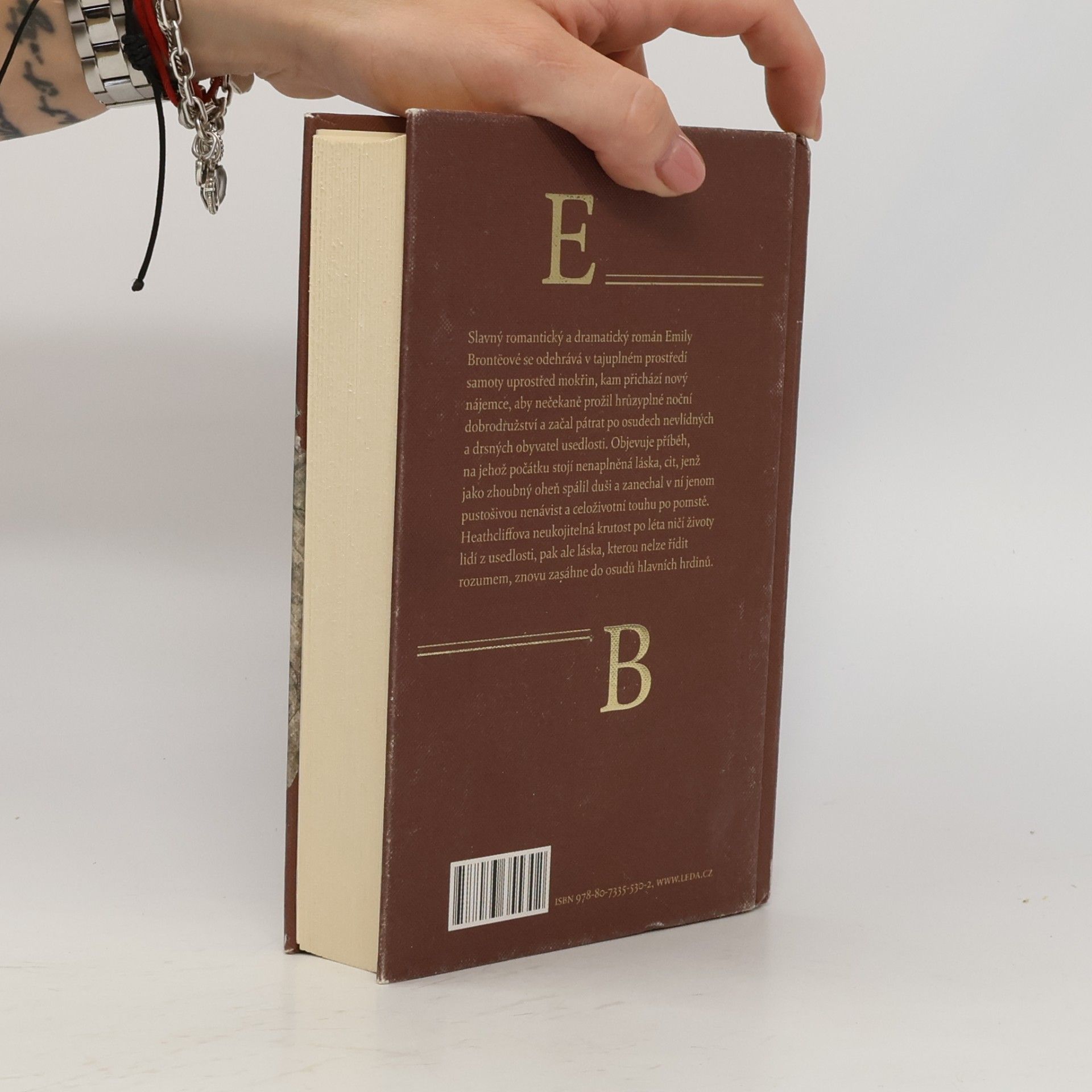 Emily Brontë Na Větrné hůrce