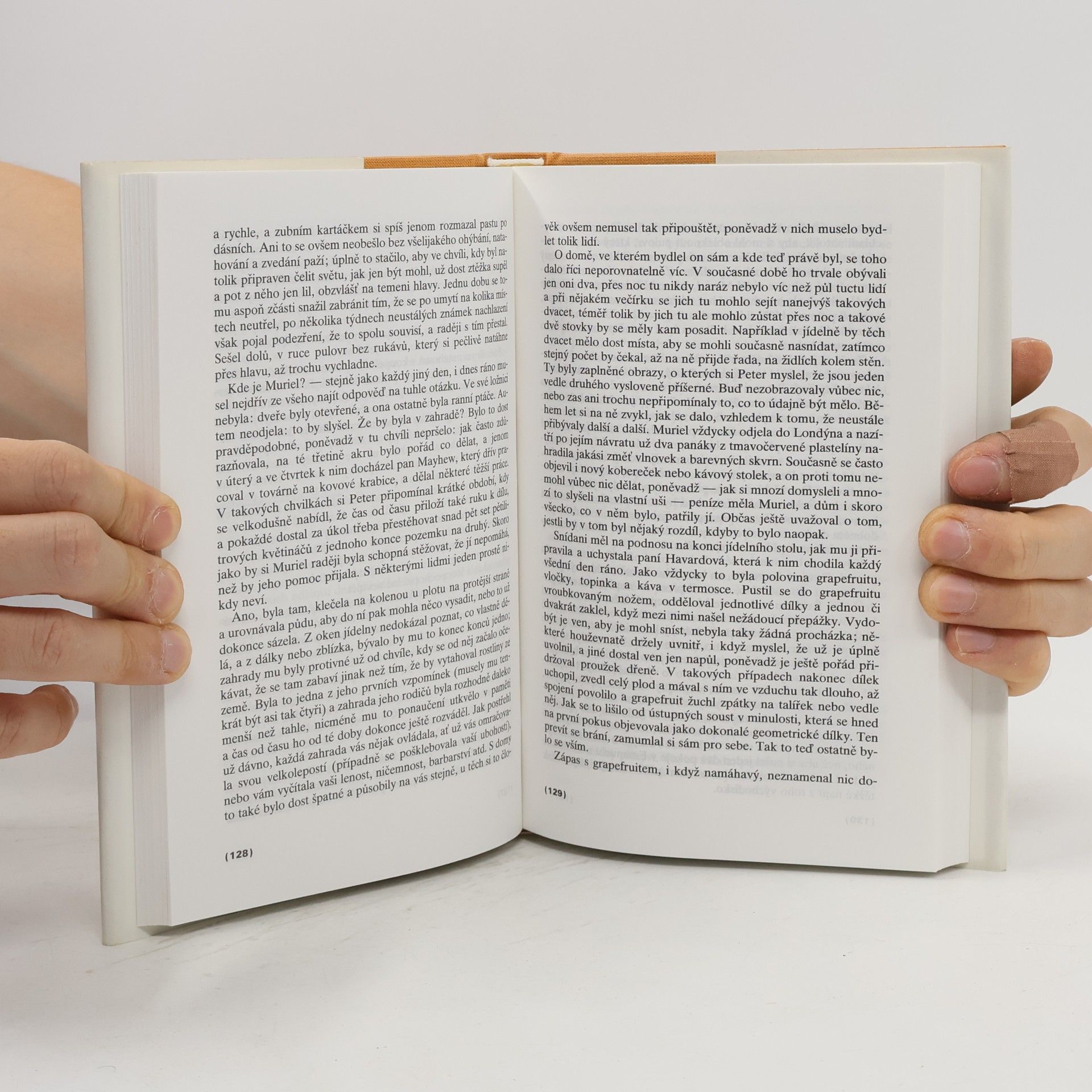 Kingsley Amis Staří parťáci