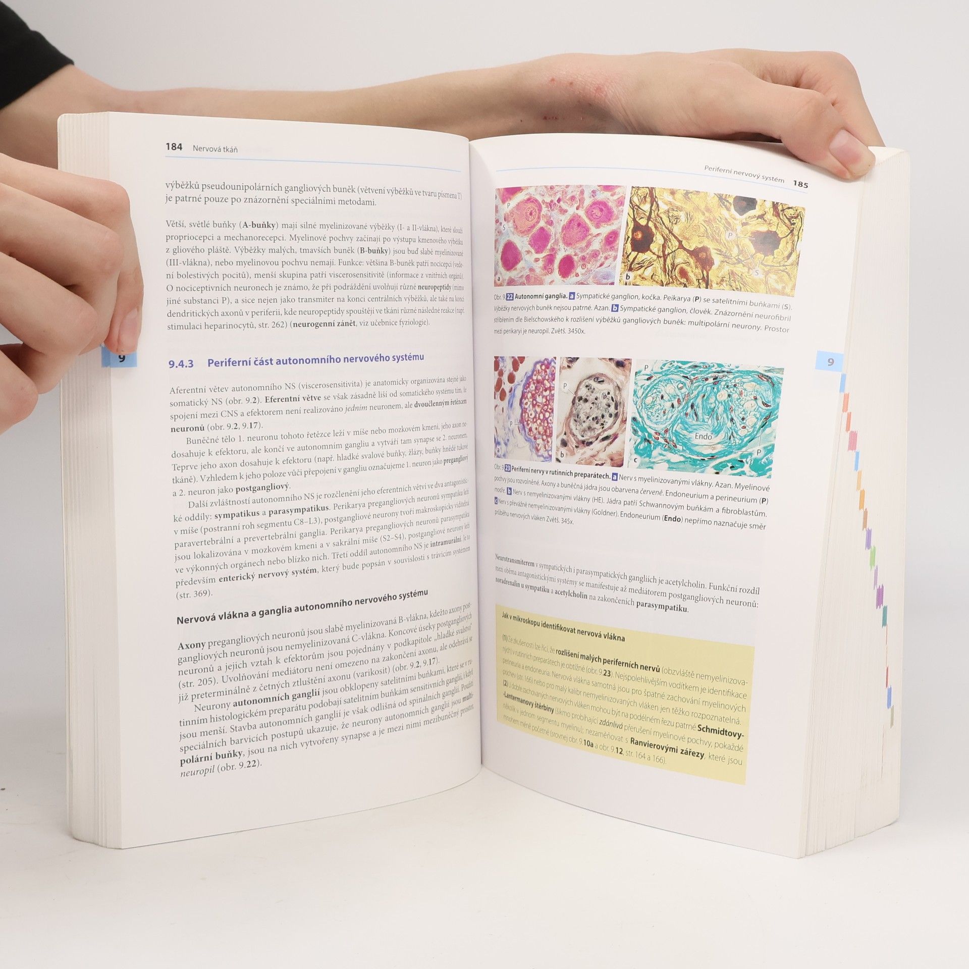 Renate Lüllmann-Rauch Histologie