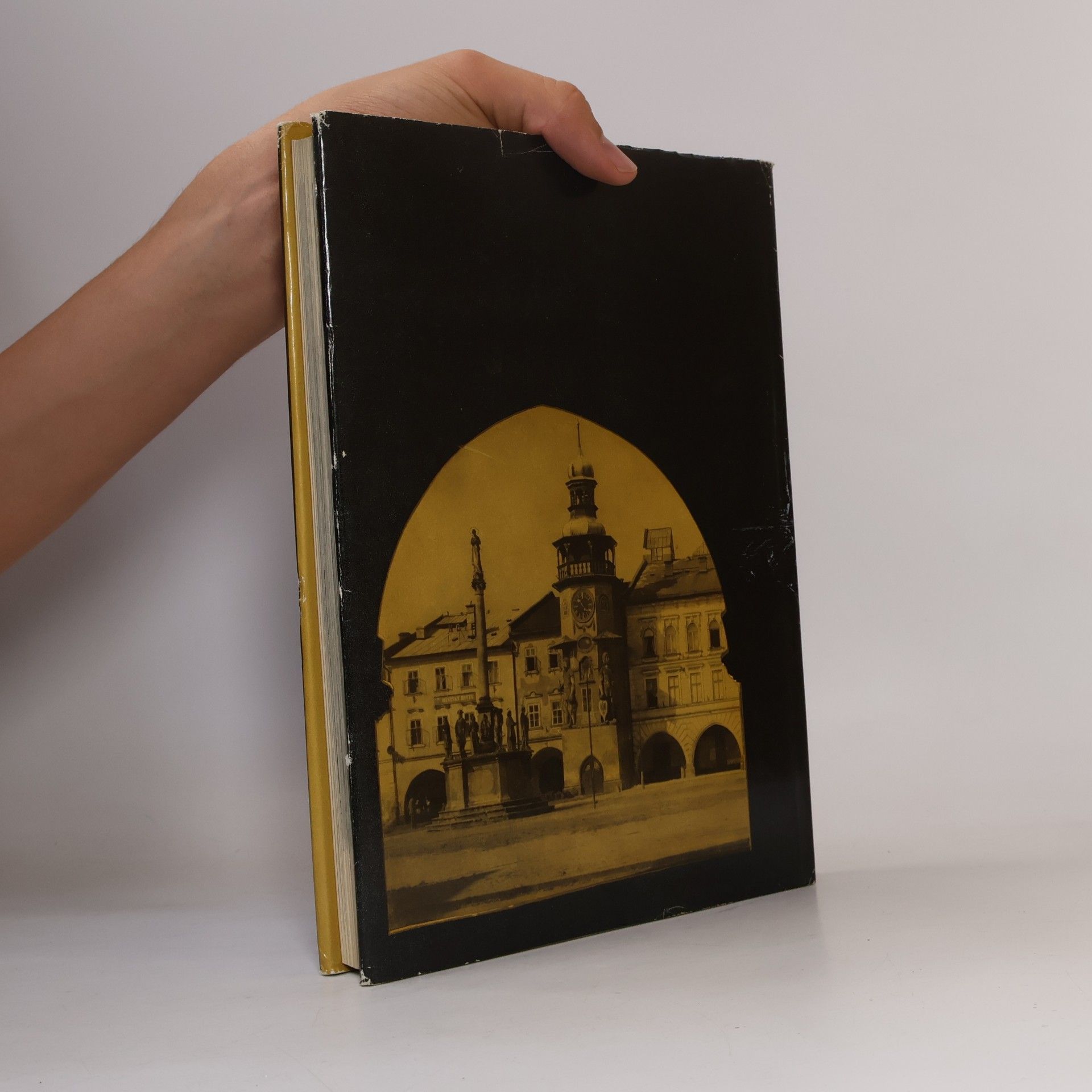 Karel Kibic Radnice / Ратуши / Town halls / Rathäuser