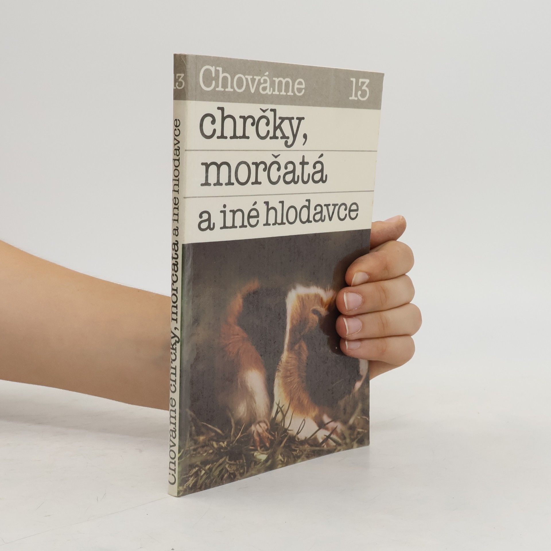 Bystrík Ambruš Chováme chrčky, morčatá a iné hlodavce