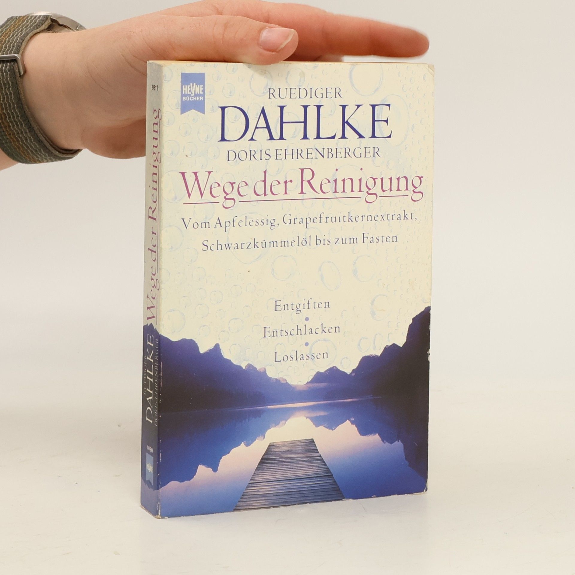 Ruediger Dahlke Wege der Reinigung