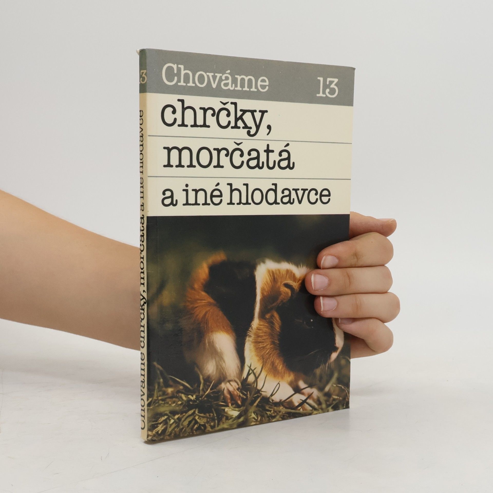 Bystrík Ambruš Chováme chrčky, morčatá a iné hlodavce 13