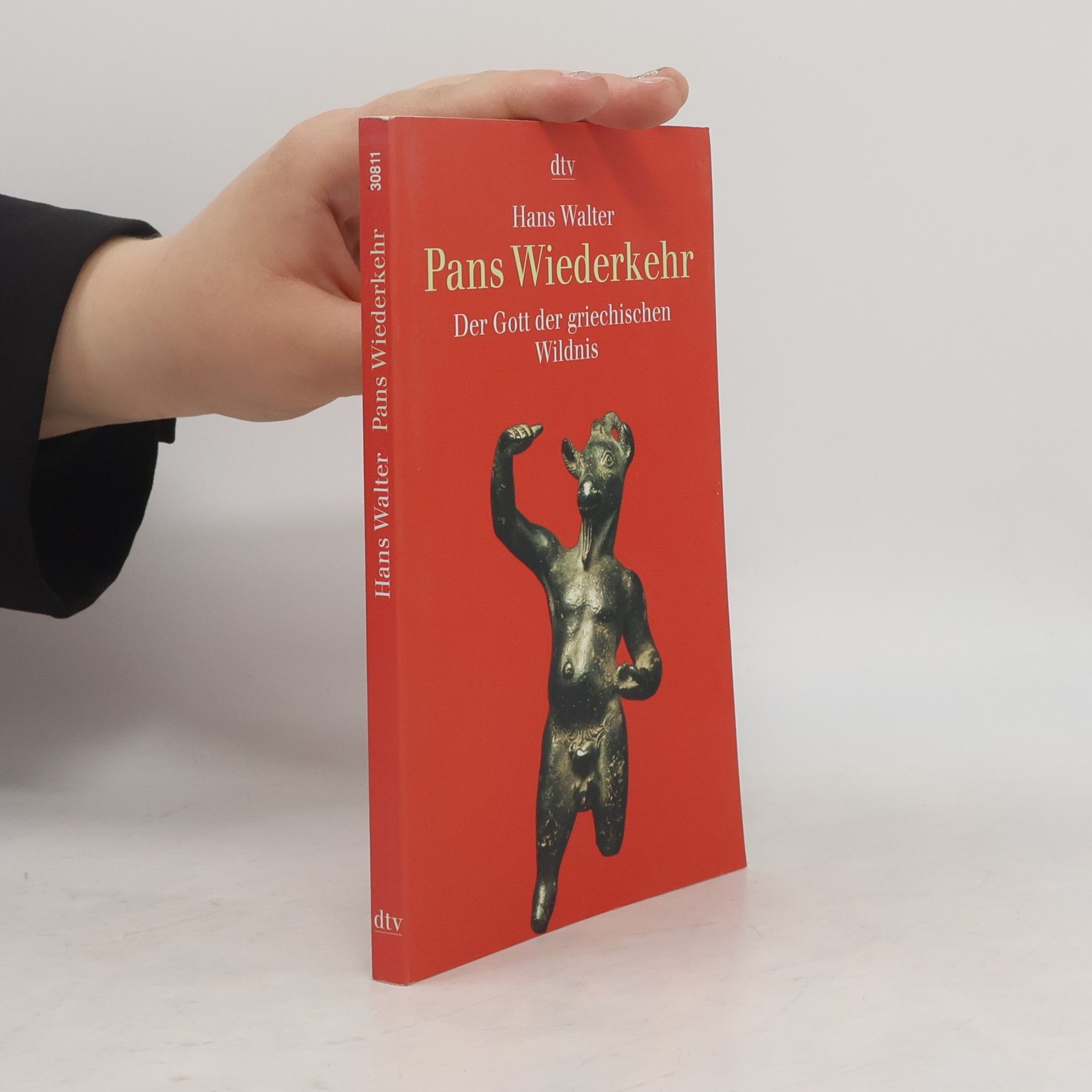 Hans Walter Pans Wiederkehr