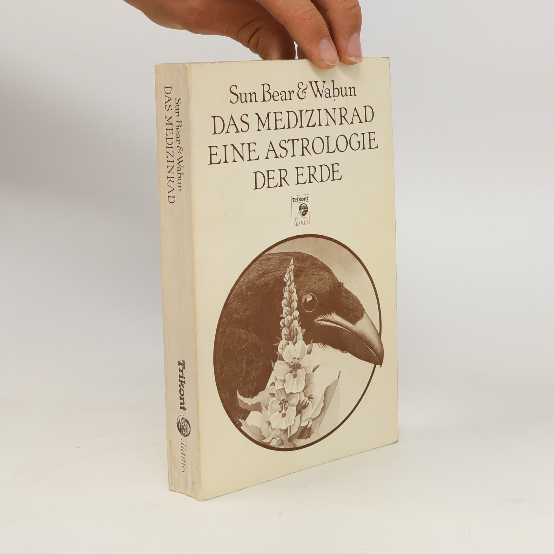 Sun Bear Das Medizinrad