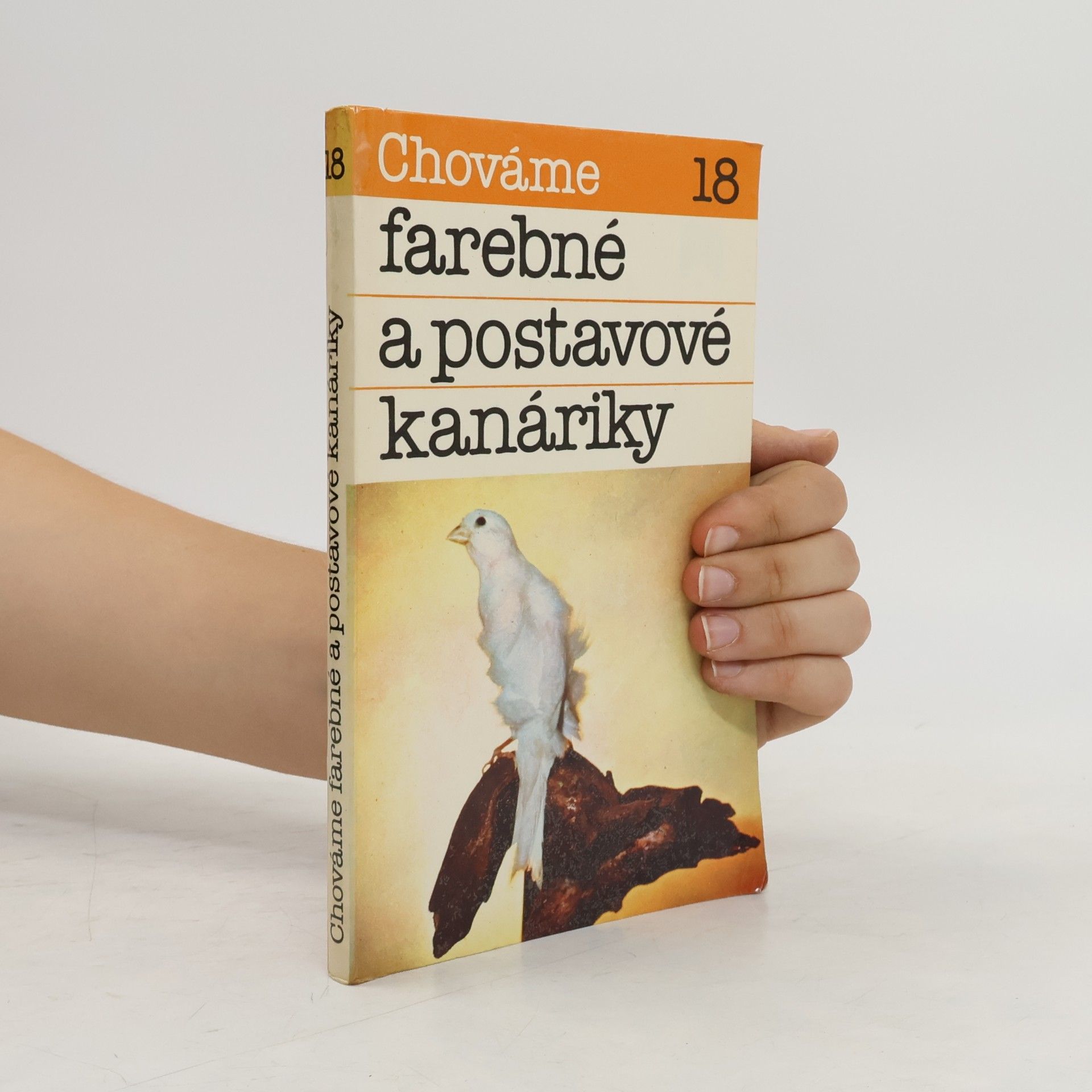 Bystrík Ambruš Chováme 18. farebné a postavové kanáriky