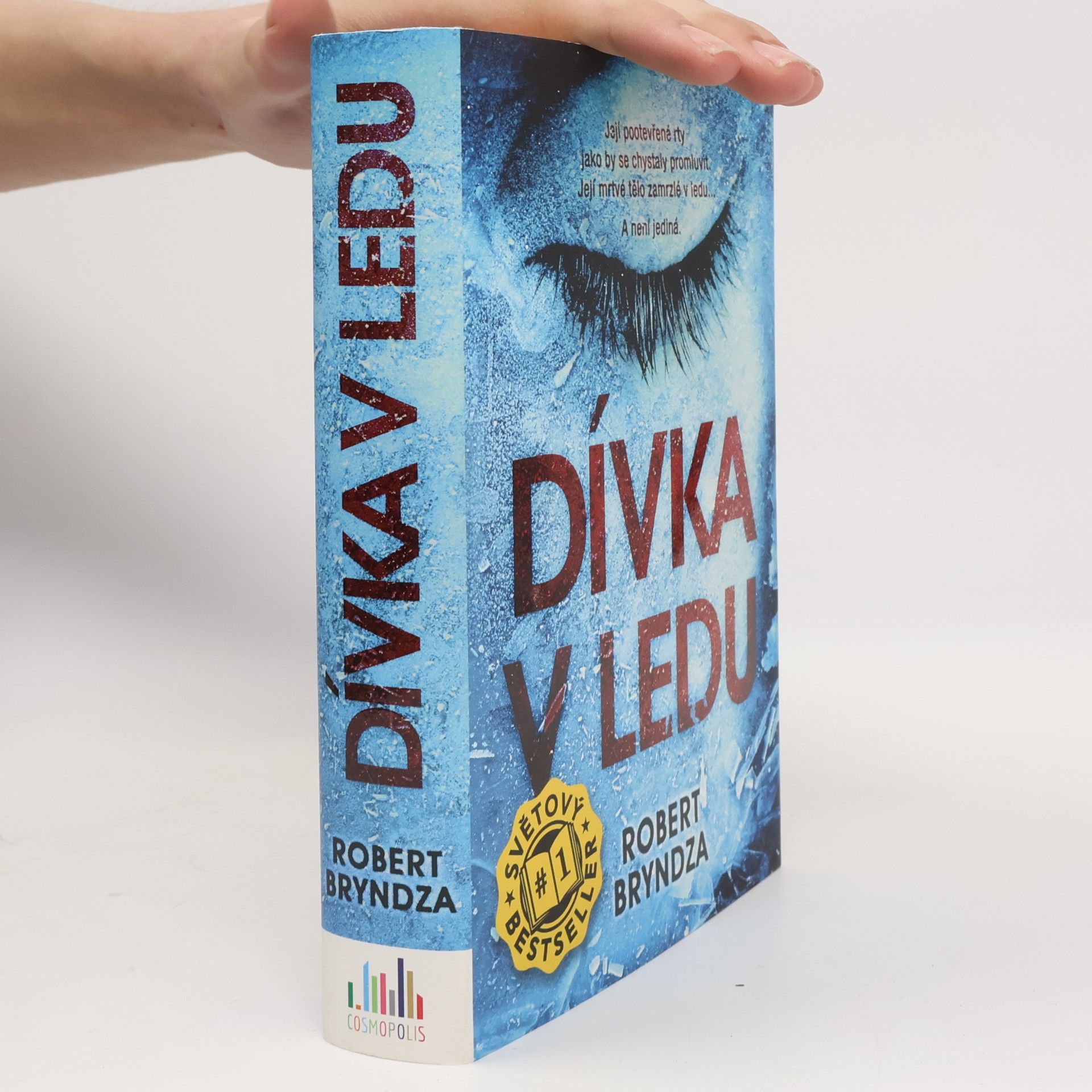 Robert Bryndza Dívka v ledu