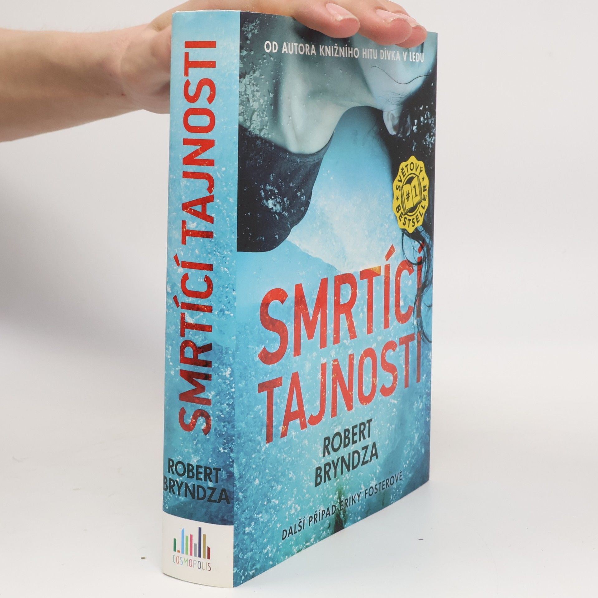 Robert Bryndza Smrtící tajnosti