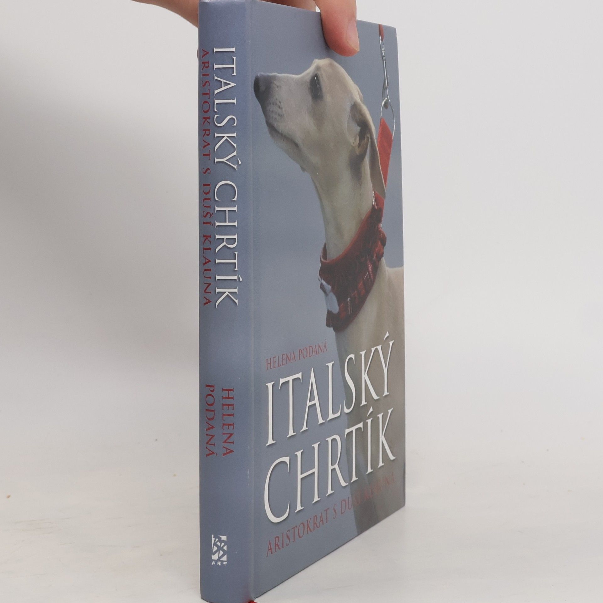 Italský chrtík - Aristokrat s duší klauna