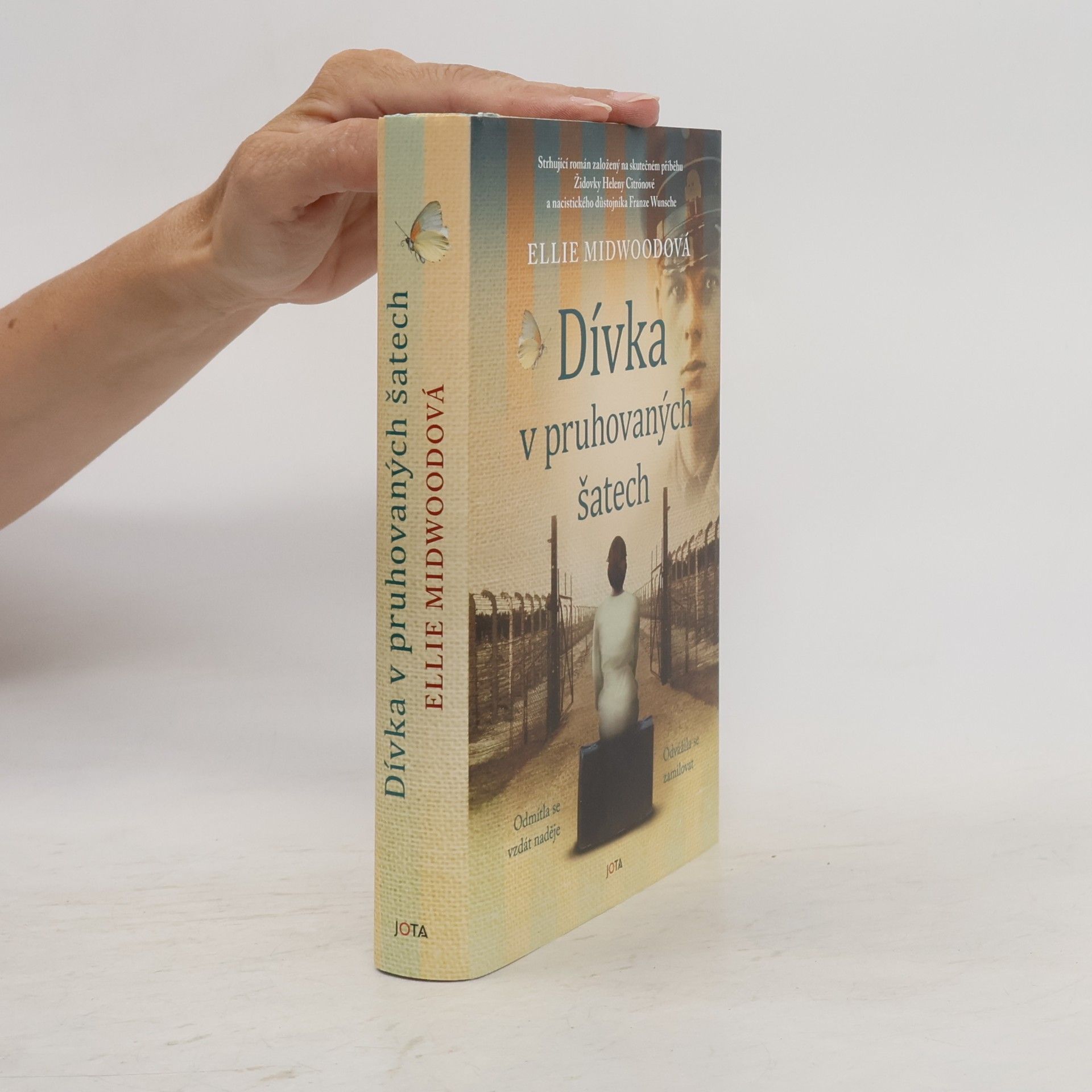 Ellie Midwood Dívka v pruhovaných šatech